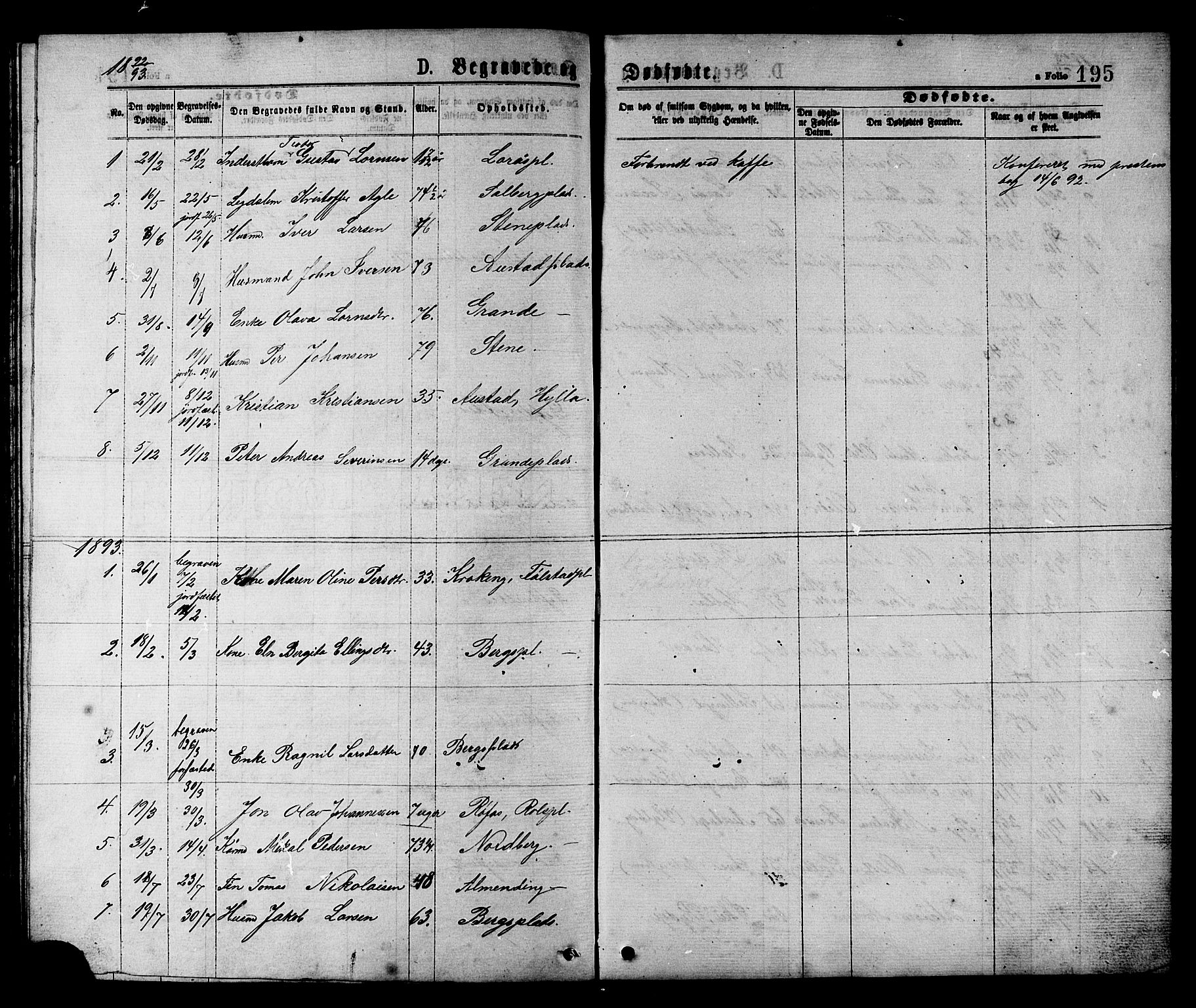 Ministerialprotokoller, klokkerbøker og fødselsregistre - Nord-Trøndelag, SAT/A-1458/731/L0311: Parish register (copy) no. 731C02, 1875-1911, p. 195