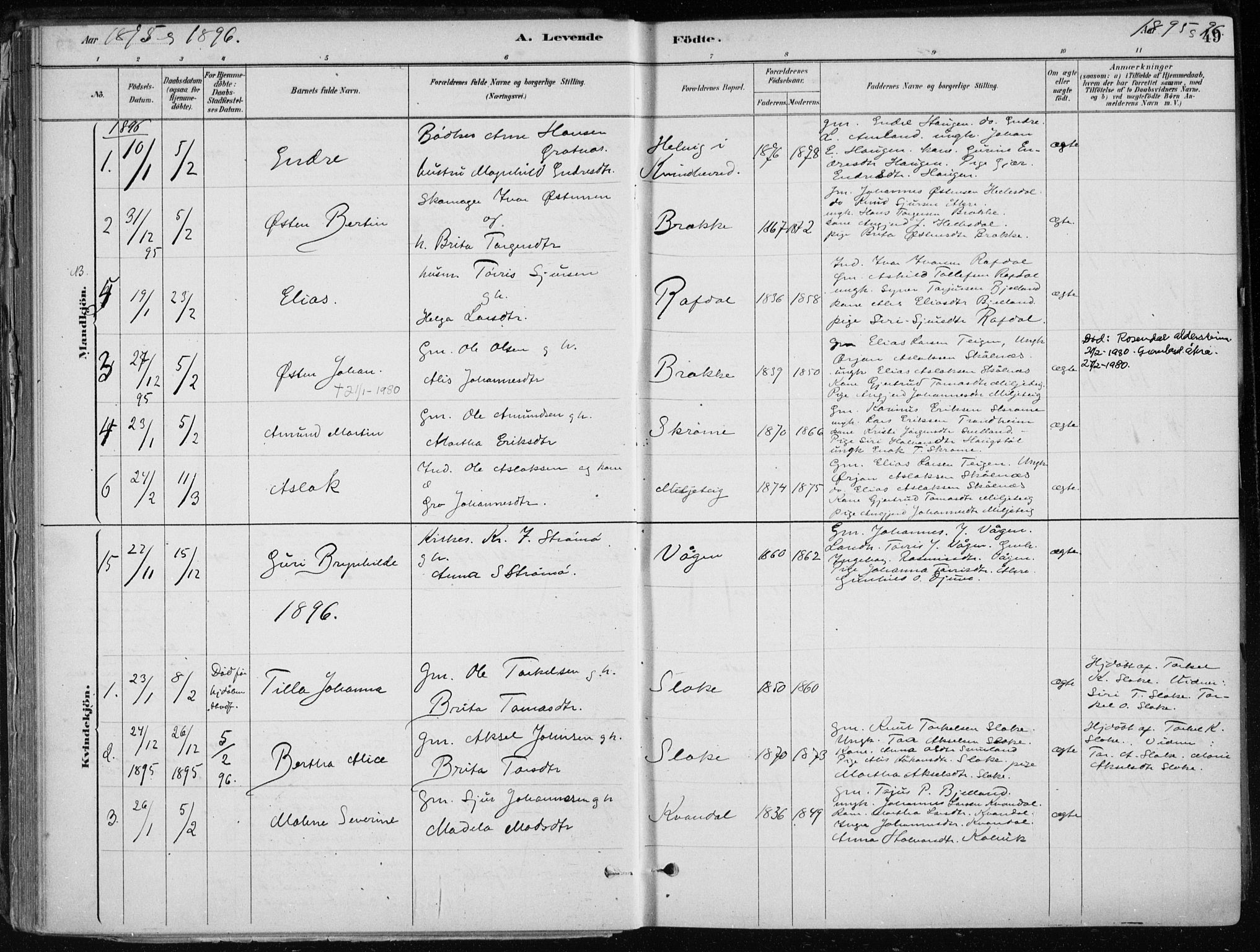 Skånevik sokneprestembete, AV/SAB-A-77801/H/Haa: Parish register (official) no. E  1, 1879-1901, p. 49