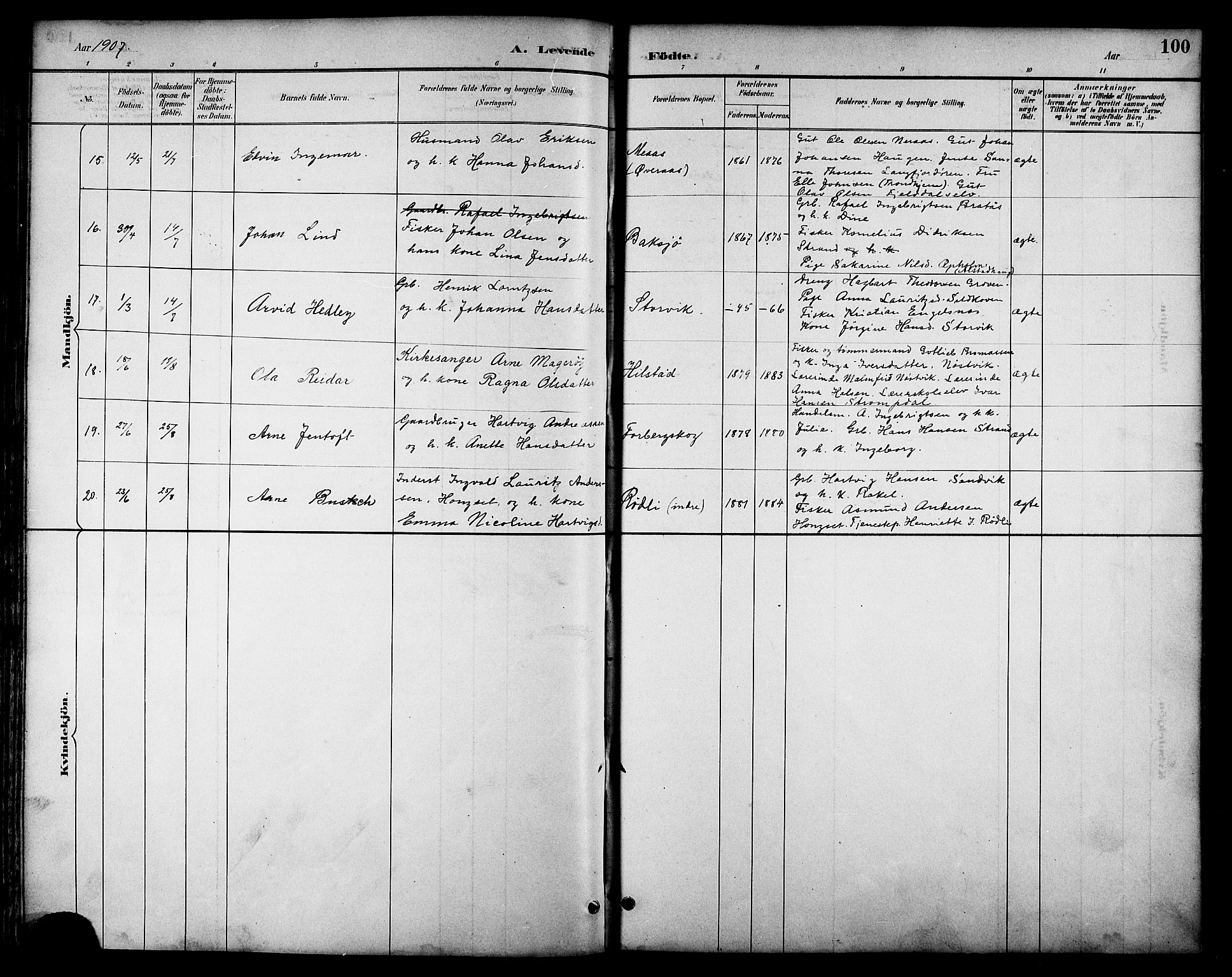 Ministerialprotokoller, klokkerbøker og fødselsregistre - Nordland, AV/SAT-A-1459/814/L0230: Parish register (copy) no. 814C03, 1884-1911, p. 100