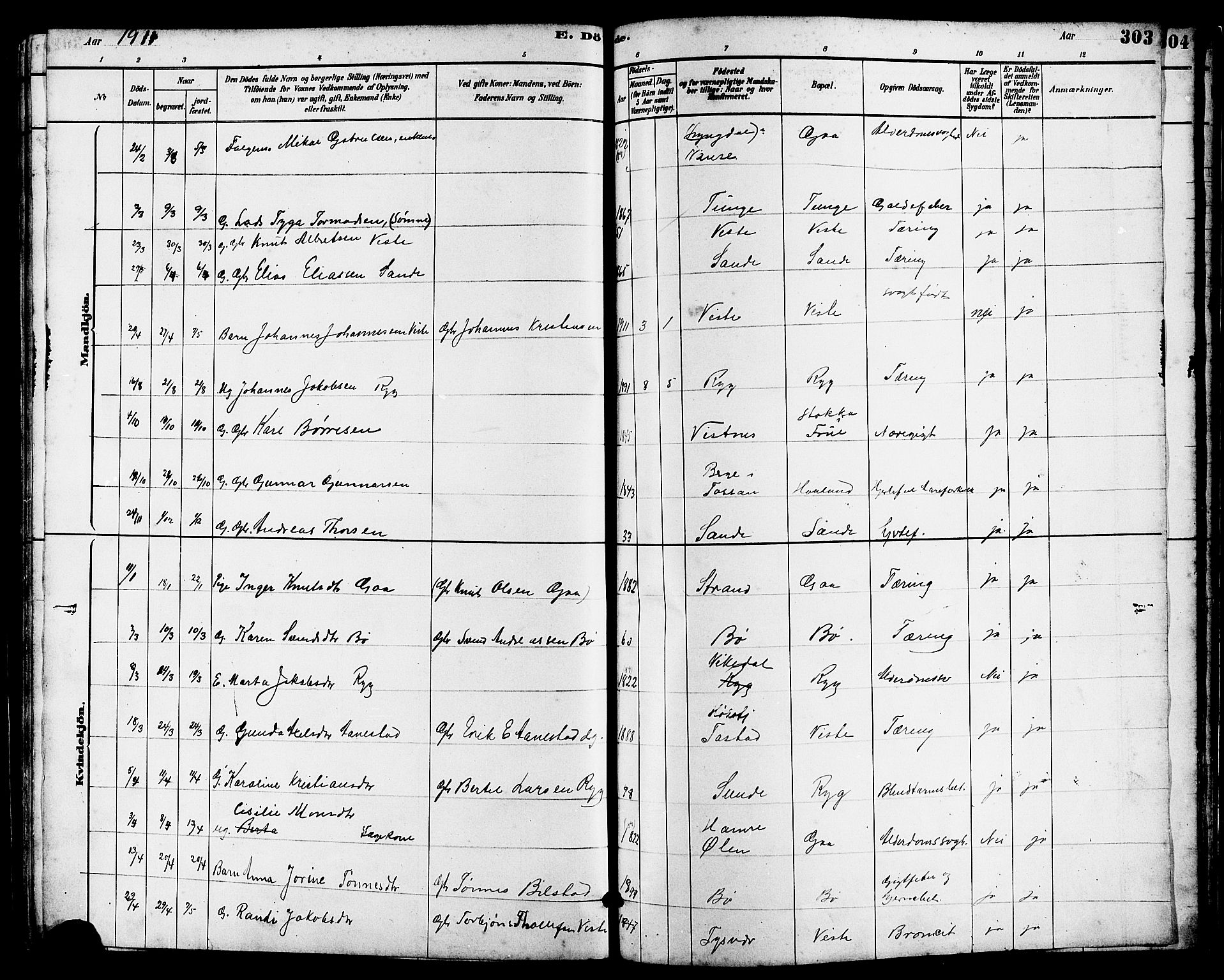 Hetland sokneprestkontor, SAST/A-101826/30/30BB/L0006: Parish register (copy) no. B 6, 1878-1921, p. 303