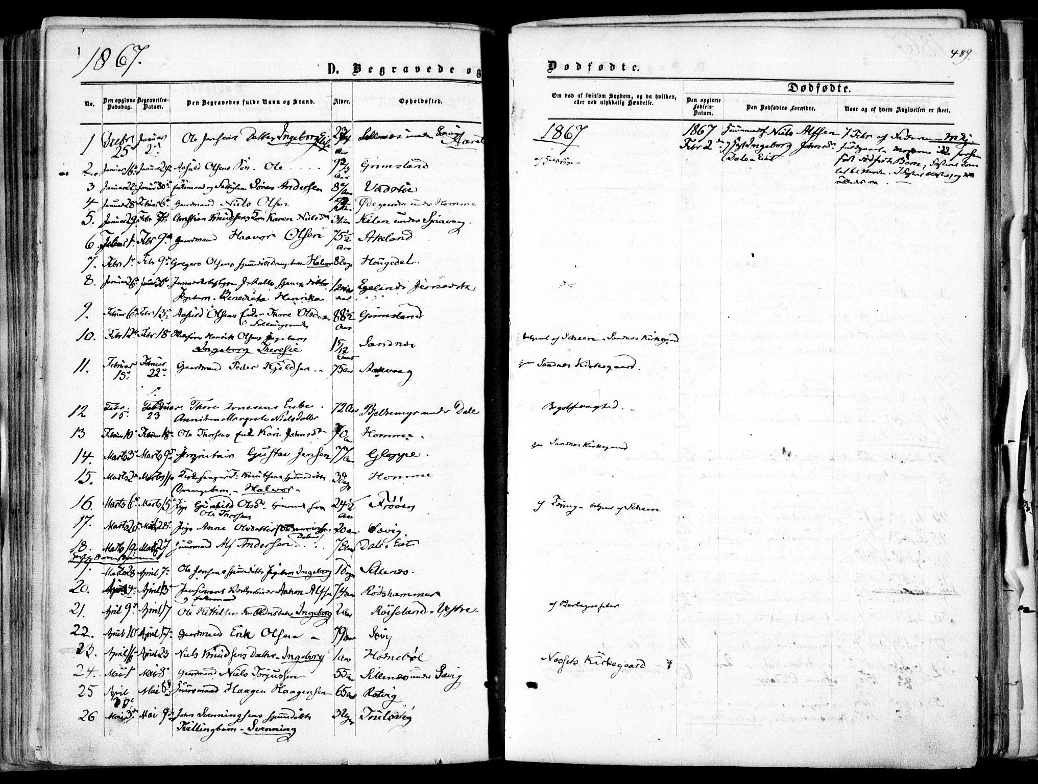 Søndeled sokneprestkontor, AV/SAK-1111-0038/F/Fa/L0003: Parish register (official) no. A 3, 1861-1879, p. 489