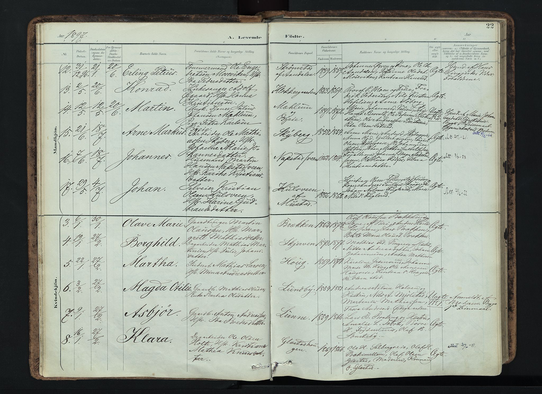 Vardal prestekontor, SAH/PREST-100/H/Ha/Haa/L0019: Parish register (official) no. 19, 1893-1907, p. 22