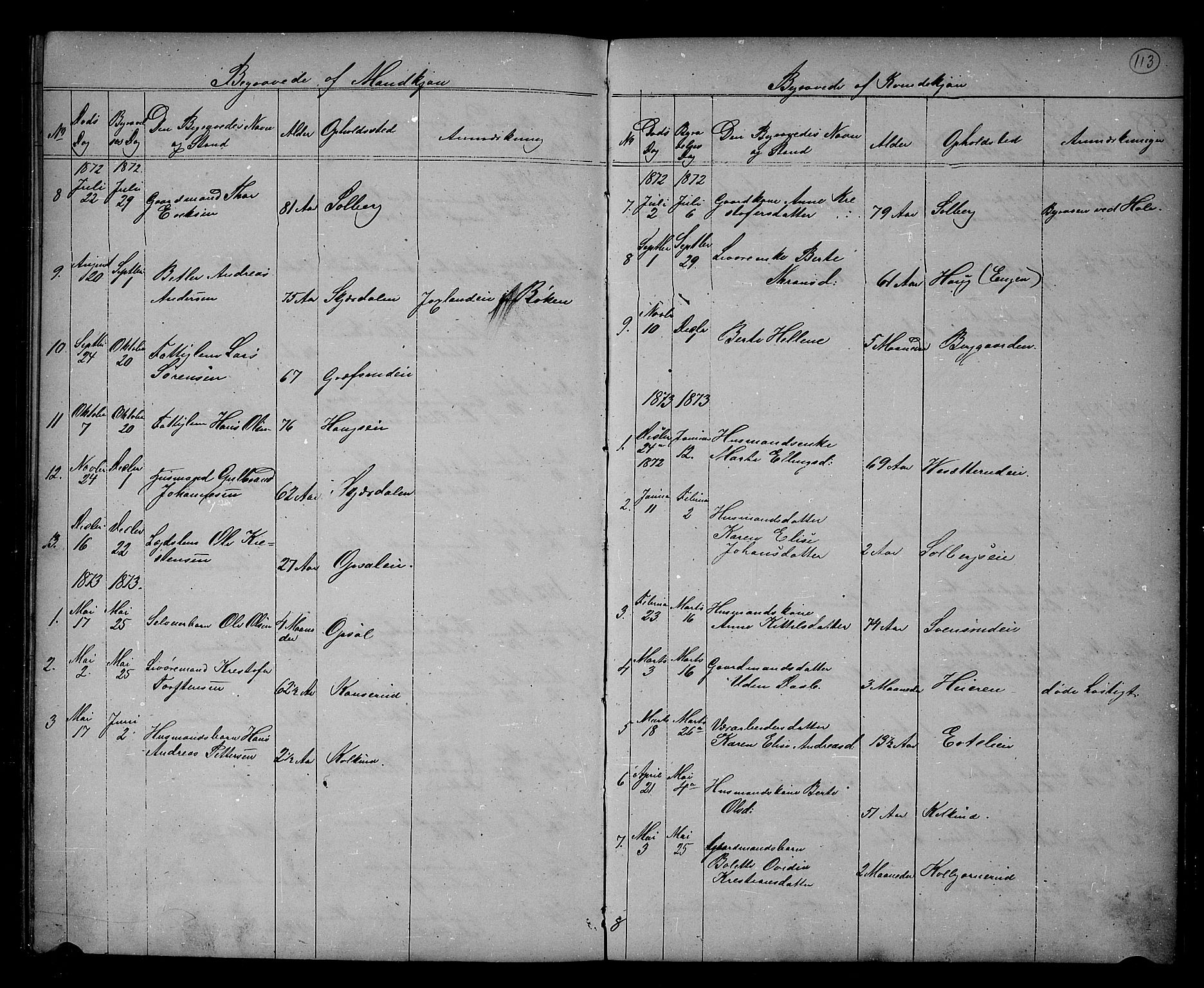Hole kirkebøker, SAKO/A-228/G/Gb/L0001: Parish register (copy) no. II 1, 1859-1878, p. 113