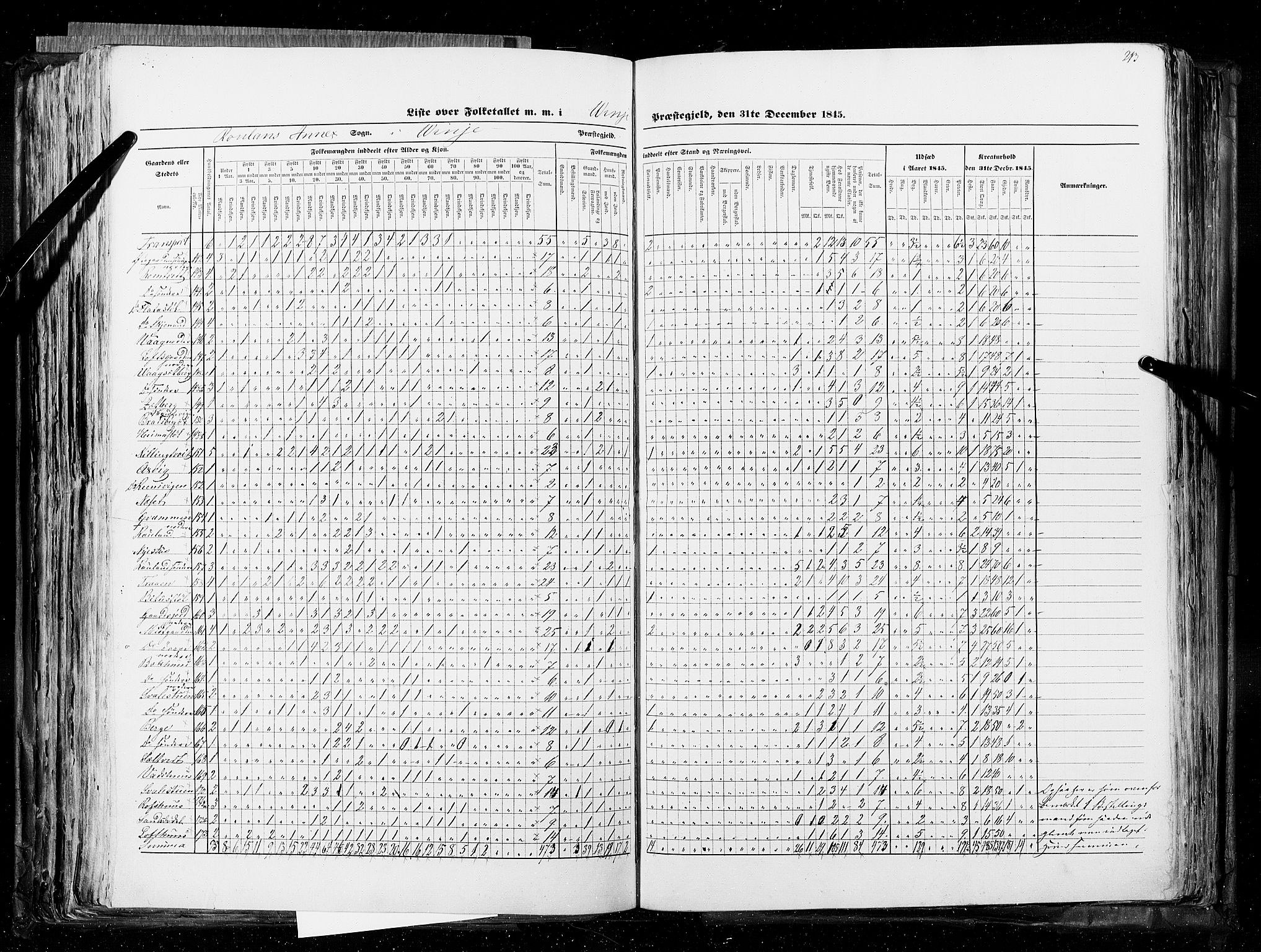 RA, Census 1845, vol. 5: Bratsberg amt og Nedenes og Råbyggelaget amt, 1845, p. 213