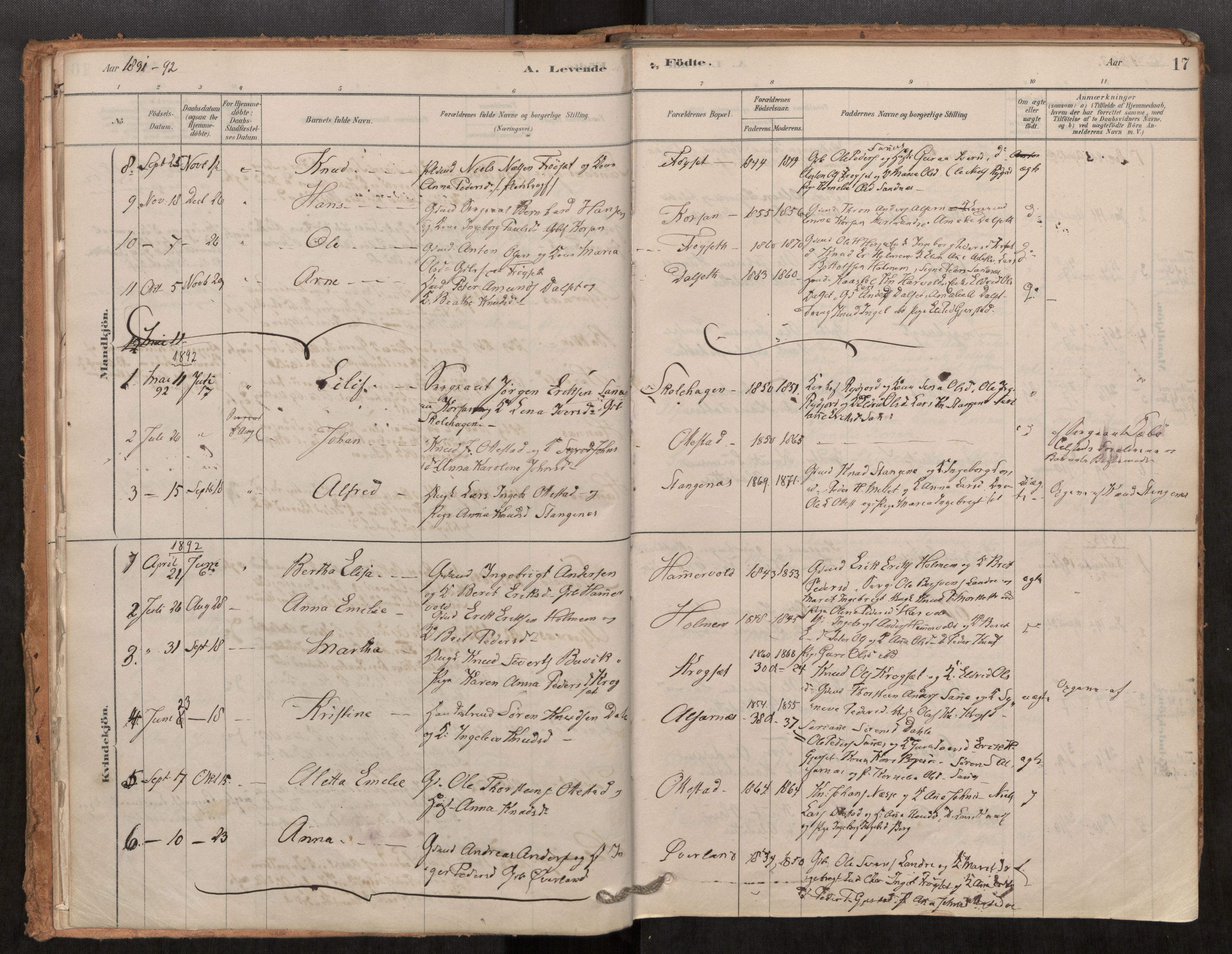 Ministerialprotokoller, klokkerbøker og fødselsregistre - Møre og Romsdal, AV/SAT-A-1454/548/L0615: Parish register (official) no. 548A02, 1878-1906, p. 17