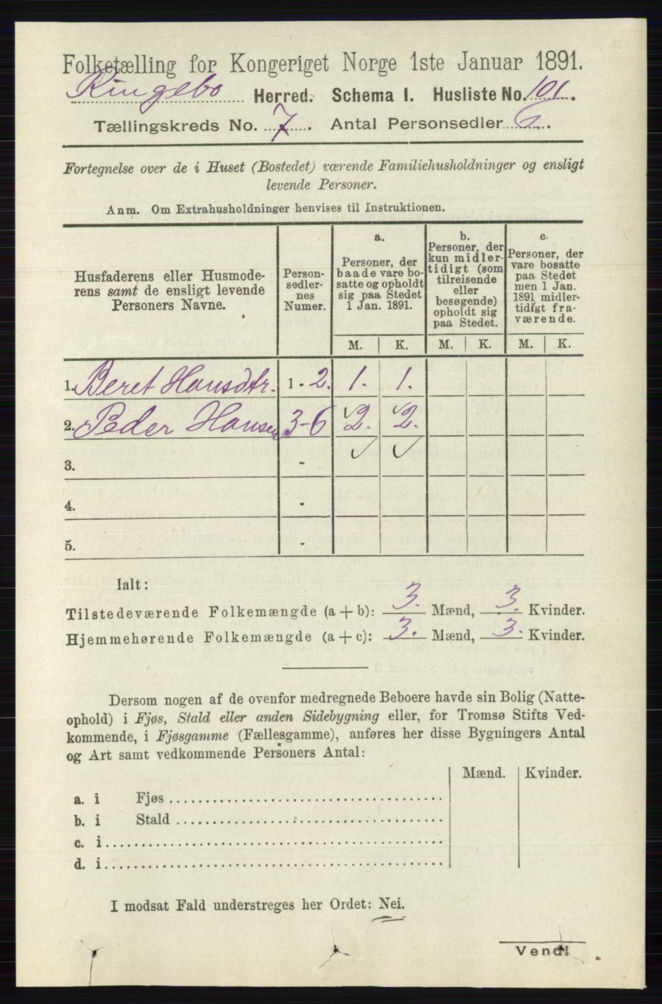 RA, 1891 census for 0520 Ringebu, 1891, p. 3024