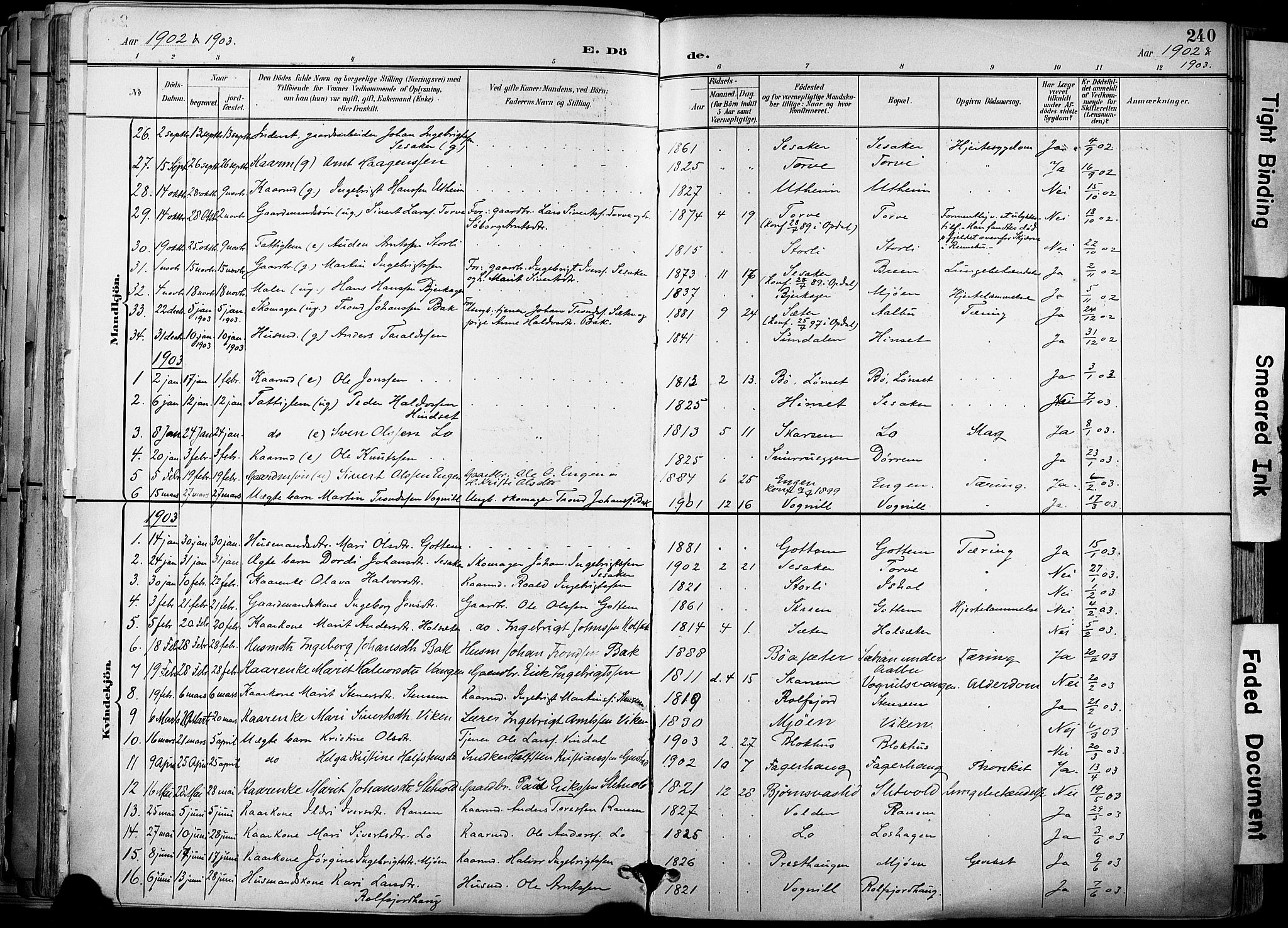 Ministerialprotokoller, klokkerbøker og fødselsregistre - Sør-Trøndelag, AV/SAT-A-1456/678/L0902: Parish register (official) no. 678A11, 1895-1911, p. 240