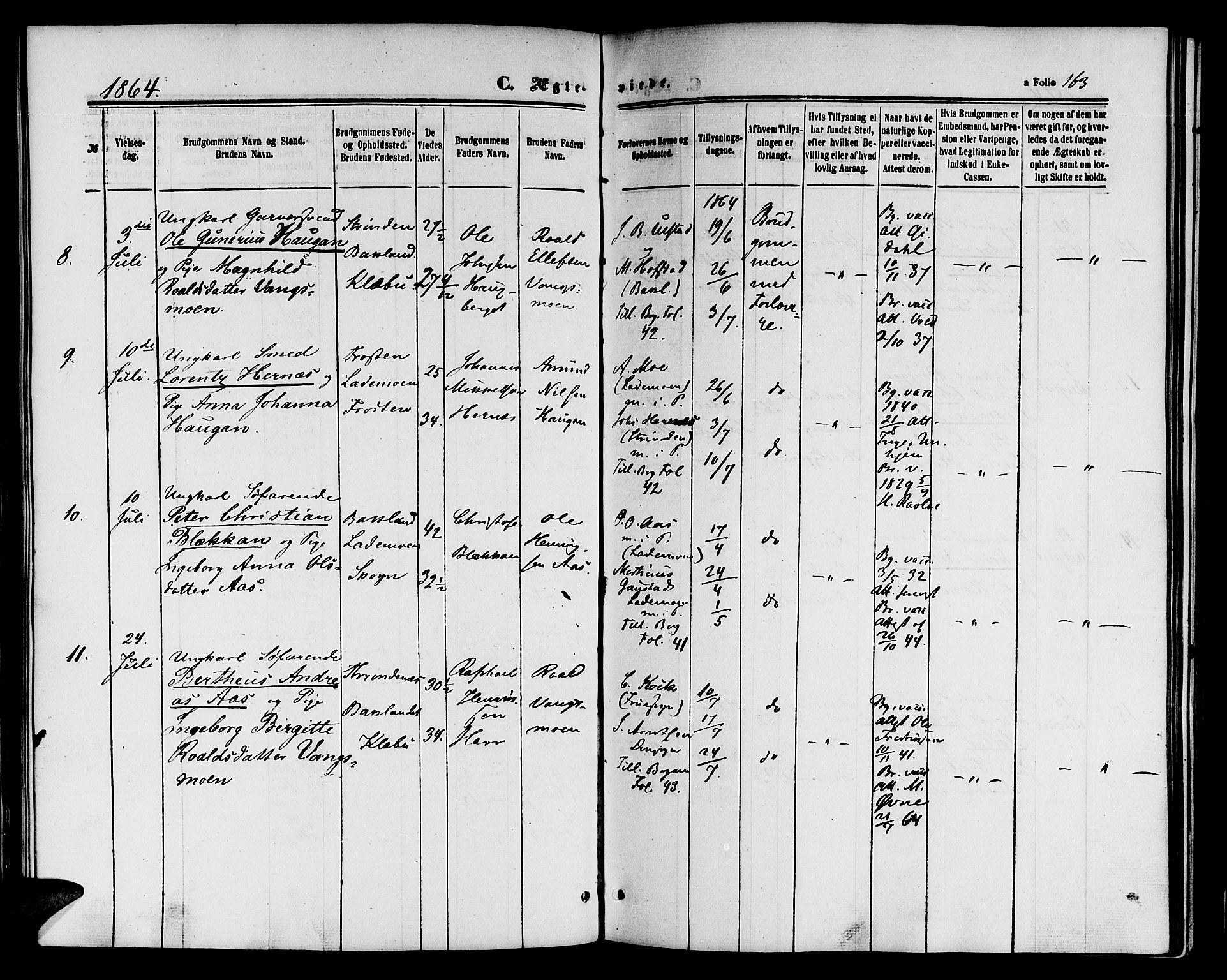 Ministerialprotokoller, klokkerbøker og fødselsregistre - Sør-Trøndelag, AV/SAT-A-1456/604/L0185: Parish register (official) no. 604A06, 1861-1865, p. 163