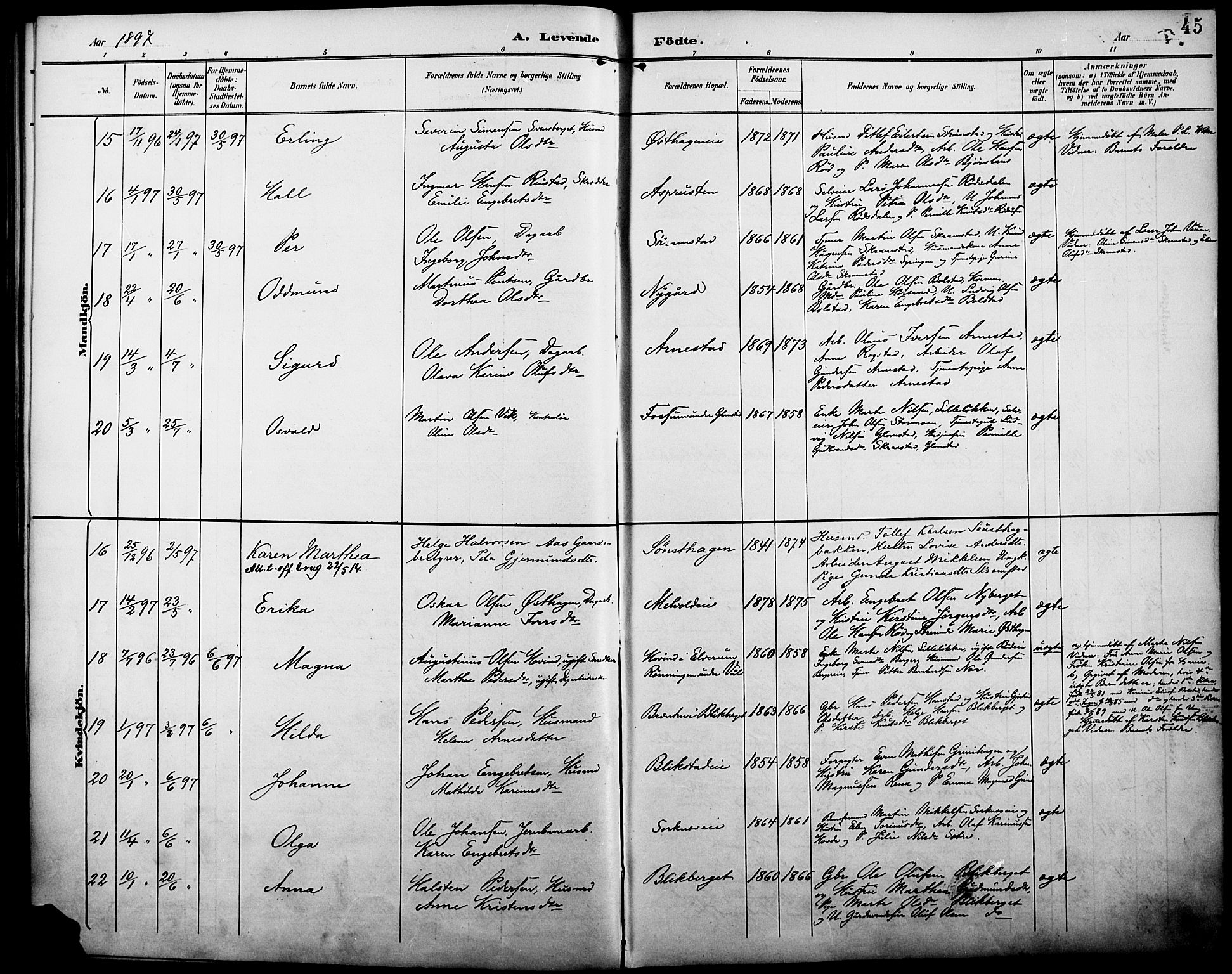 Åmot prestekontor, Hedmark, AV/SAH-PREST-056/H/Ha/Haa/L0011: Parish register (official) no. 11, 1890-1897, p. 45