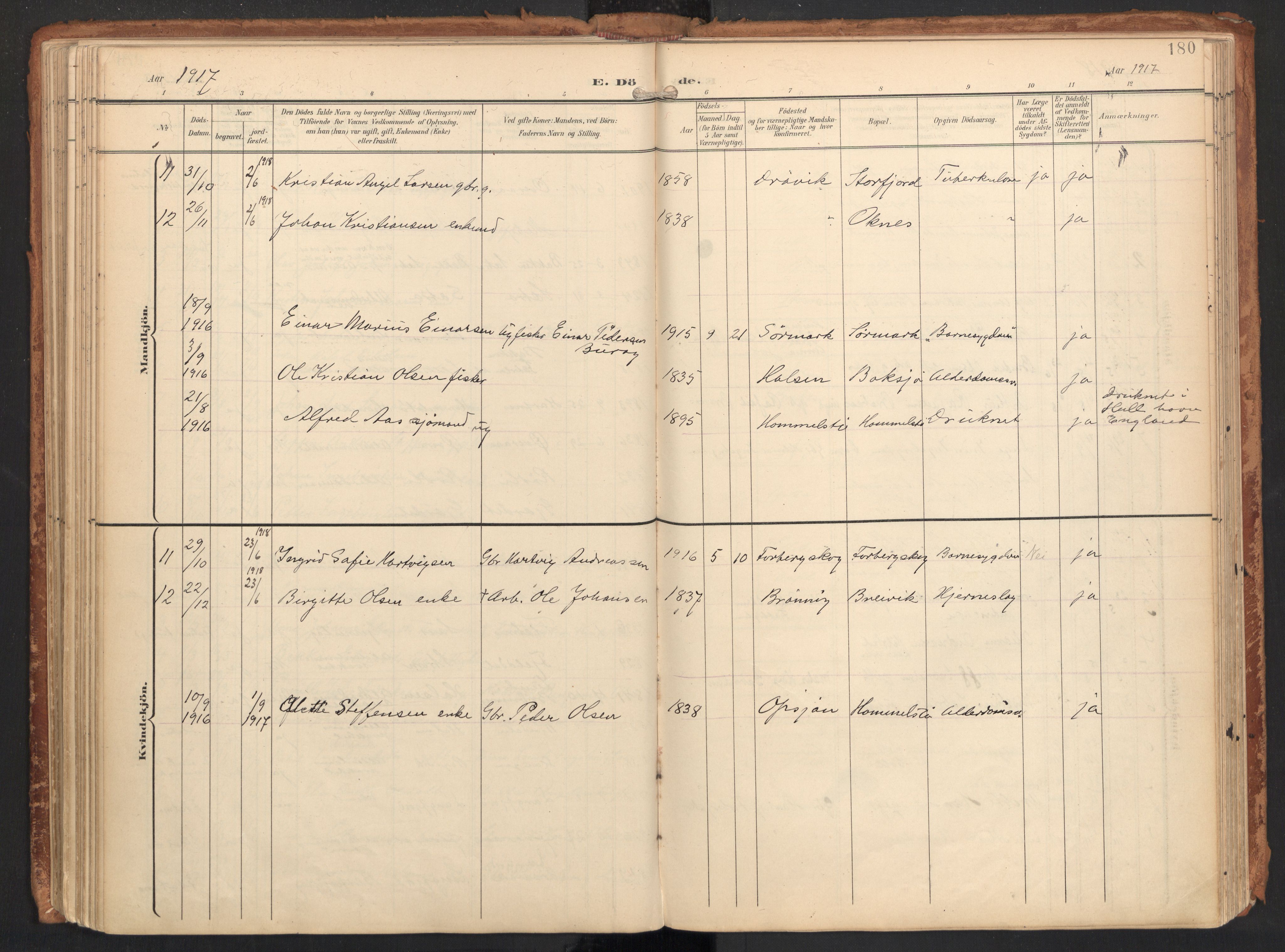 Ministerialprotokoller, klokkerbøker og fødselsregistre - Nordland, AV/SAT-A-1459/814/L0227: Parish register (official) no. 814A08, 1899-1920, p. 180