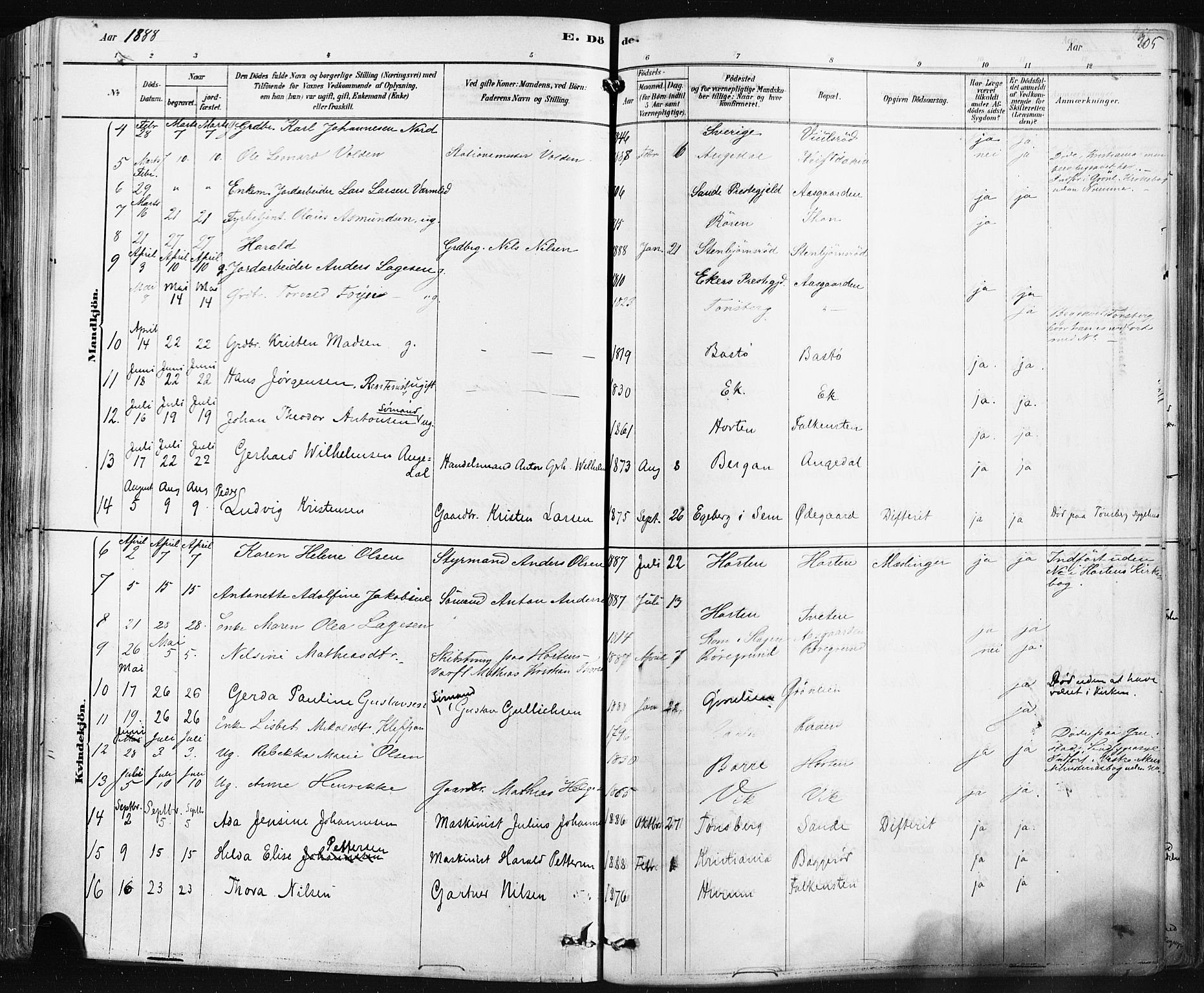 Borre kirkebøker, AV/SAKO-A-338/F/Fa/L0009: Parish register (official) no. I 9, 1878-1896, p. 205