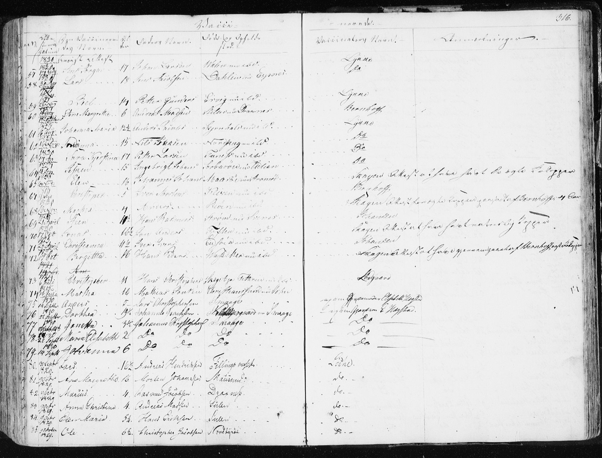 Ministerialprotokoller, klokkerbøker og fødselsregistre - Sør-Trøndelag, SAT/A-1456/634/L0528: Parish register (official) no. 634A04, 1827-1842, p. 316