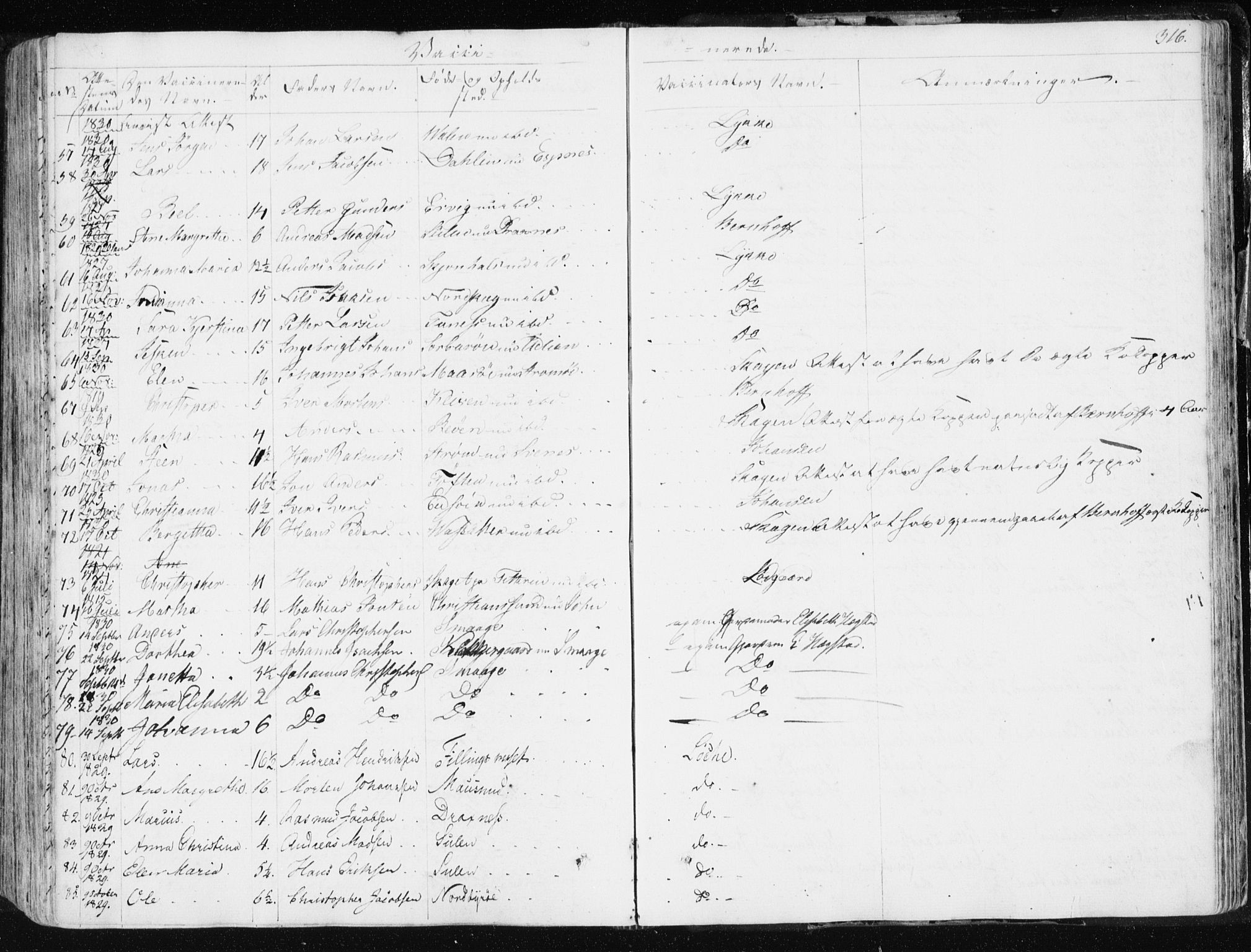 Ministerialprotokoller, klokkerbøker og fødselsregistre - Sør-Trøndelag, AV/SAT-A-1456/634/L0528: Parish register (official) no. 634A04, 1827-1842, p. 316