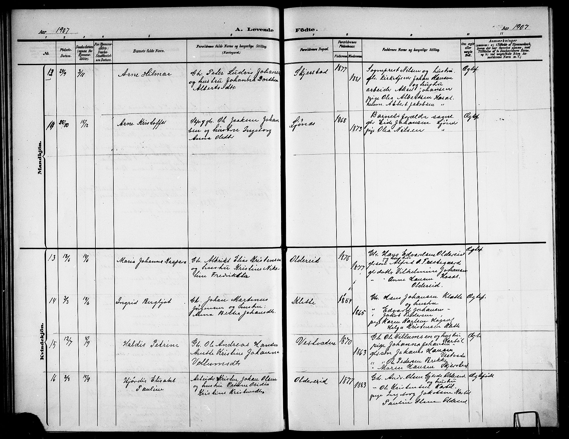 Ministerialprotokoller, klokkerbøker og fødselsregistre - Nordland, AV/SAT-A-1459/852/L0756: Parish register (copy) no. 852C07, 1902-1916