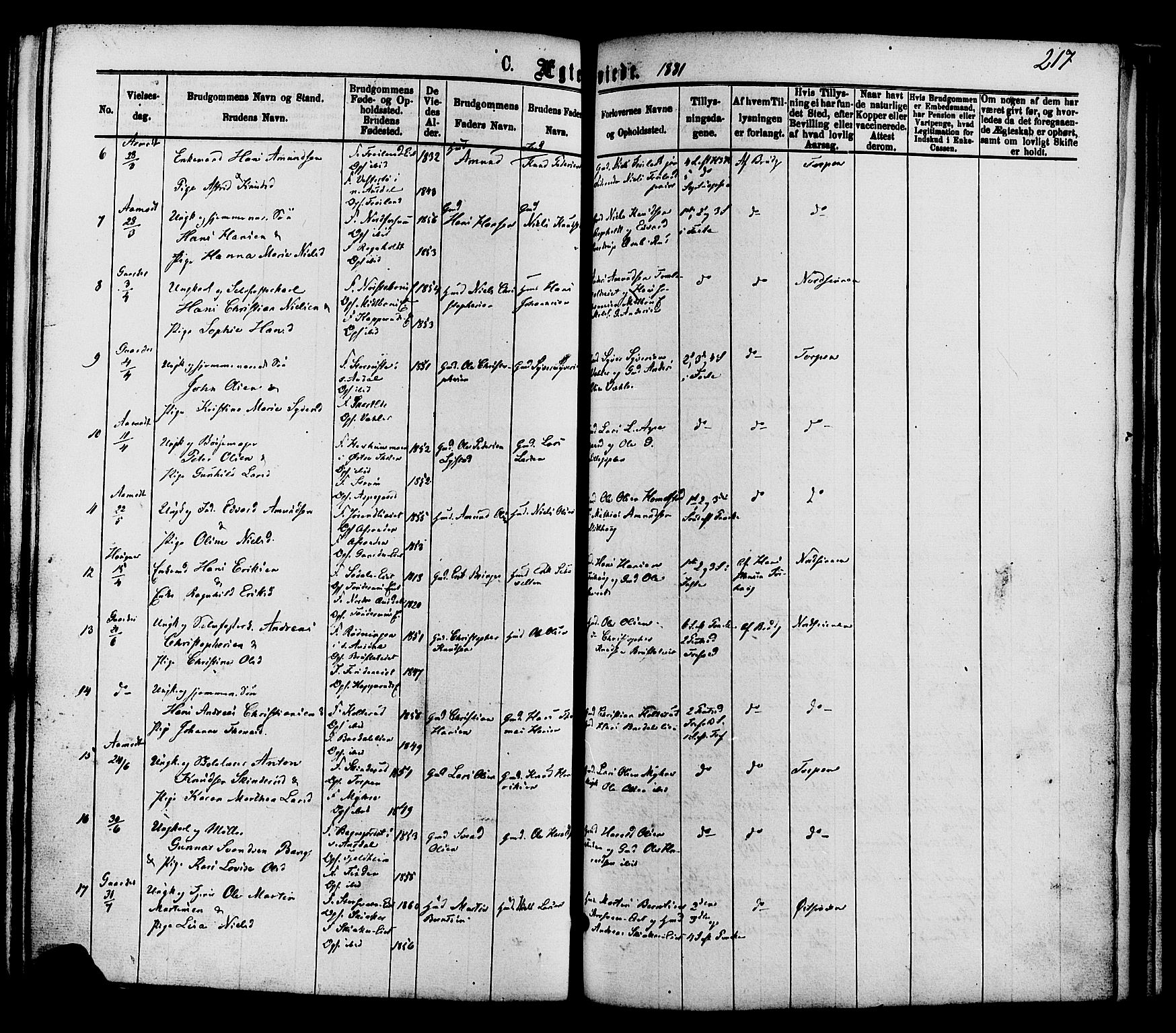 Nordre Land prestekontor, SAH/PREST-124/H/Ha/Haa/L0002: Parish register (official) no. 2, 1872-1881, p. 217