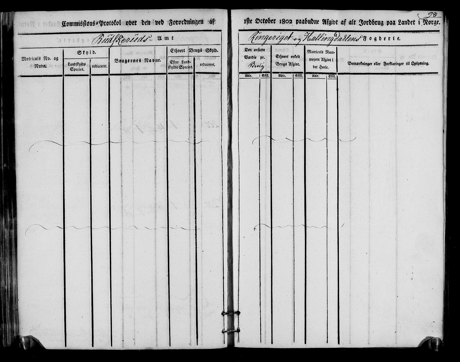 Rentekammeret inntil 1814, Realistisk ordnet avdeling, RA/EA-4070/N/Ne/Nea/L0048: Ringerike og Hallingdal fogderi. Kommisjonsprotokoll for Ål prestegjeld, 1803, p. 102