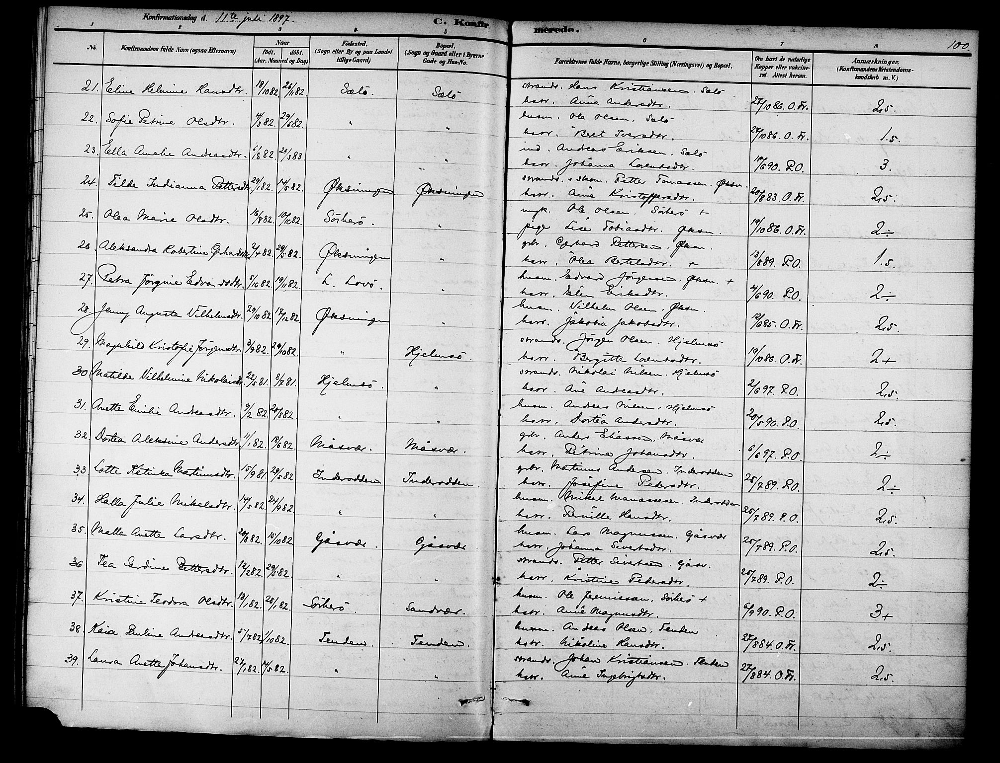 Ministerialprotokoller, klokkerbøker og fødselsregistre - Nordland, AV/SAT-A-1459/834/L0508: Parish register (official) no. 834A06, 1892-1901, p. 100