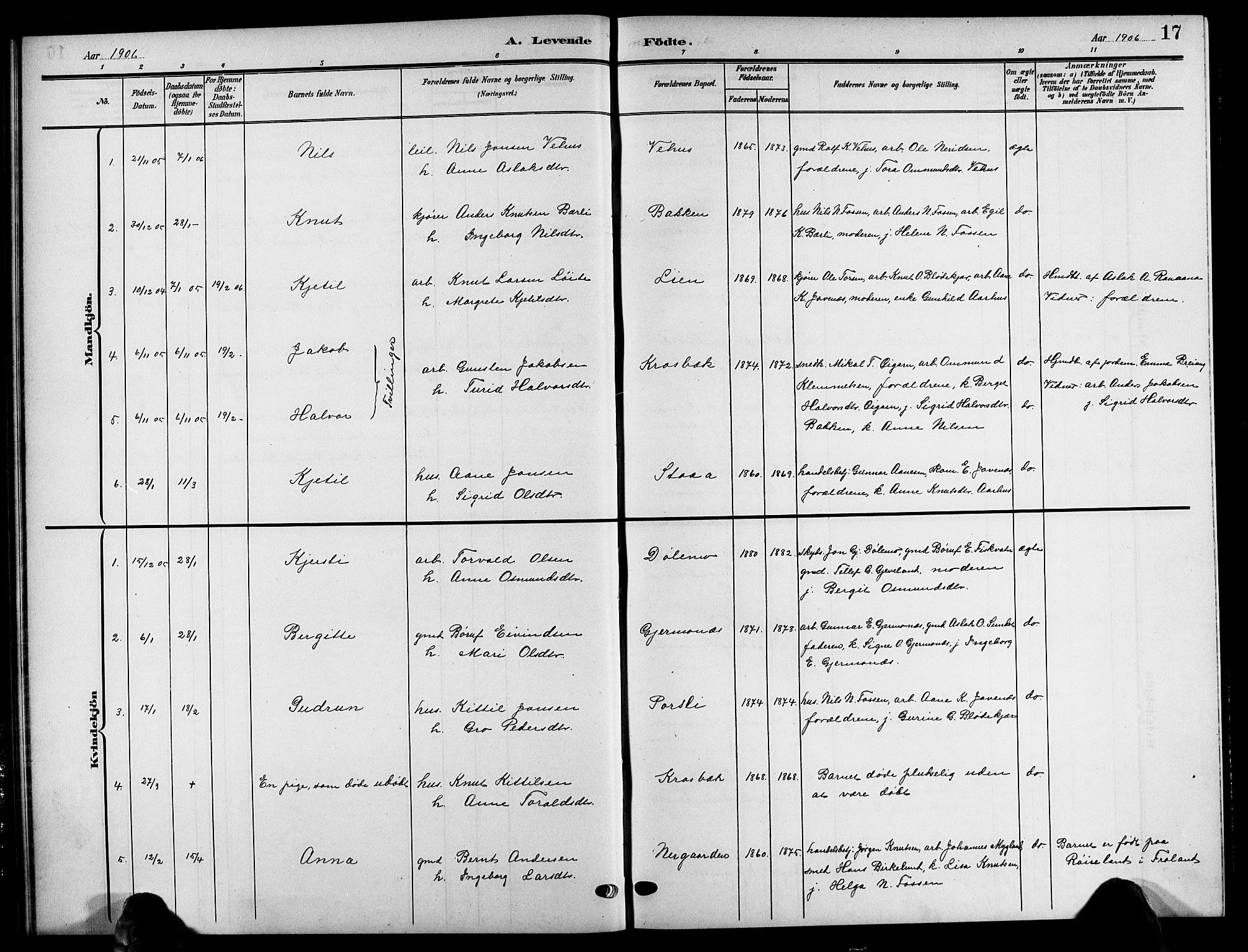 Åmli sokneprestkontor, SAK/1111-0050/F/Fb/Fbc/L0005: Parish register (copy) no. B 5, 1903-1916, p. 17