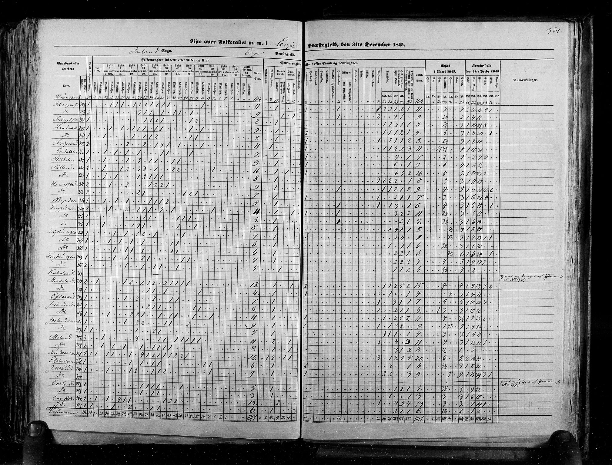 RA, Census 1845, vol. 5: Bratsberg amt og Nedenes og Råbyggelaget amt, 1845, p. 381