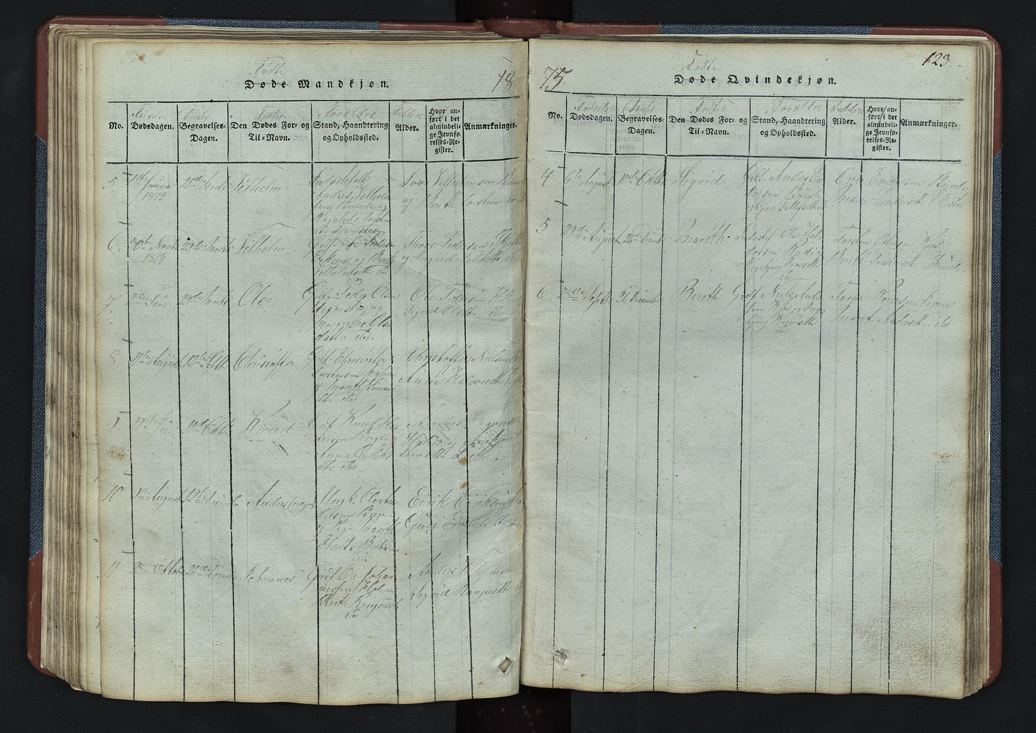 Vang prestekontor, Valdres, SAH/PREST-140/H/Hb/L0003: Parish register (copy) no. 3, 1814-1892, p. 123