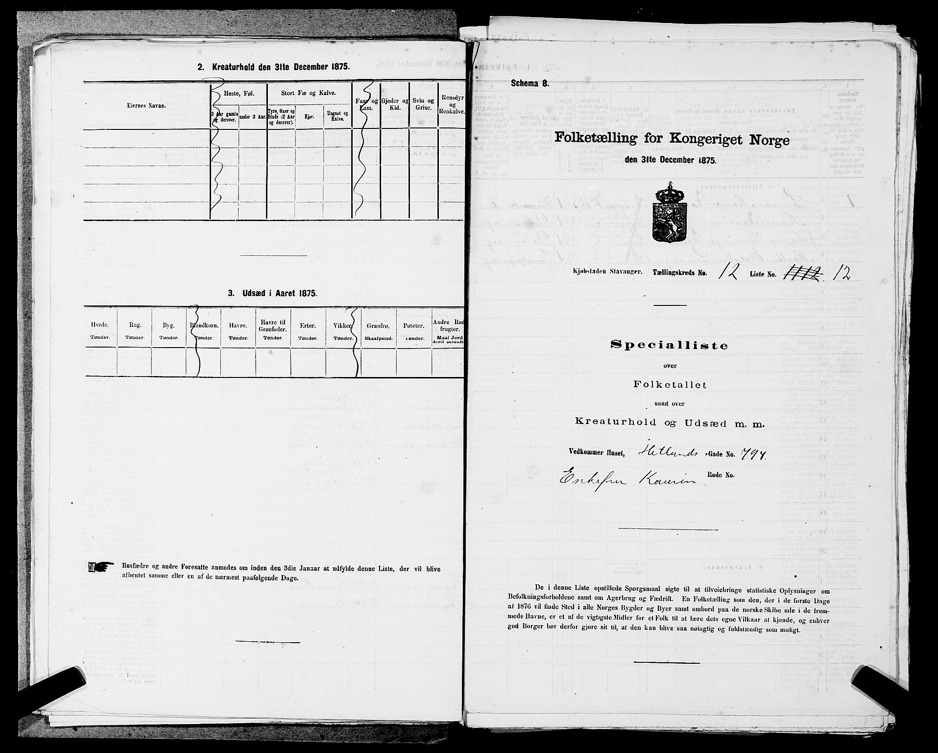 SAST, 1875 census for 1103 Stavanger, 1875, p. 2300