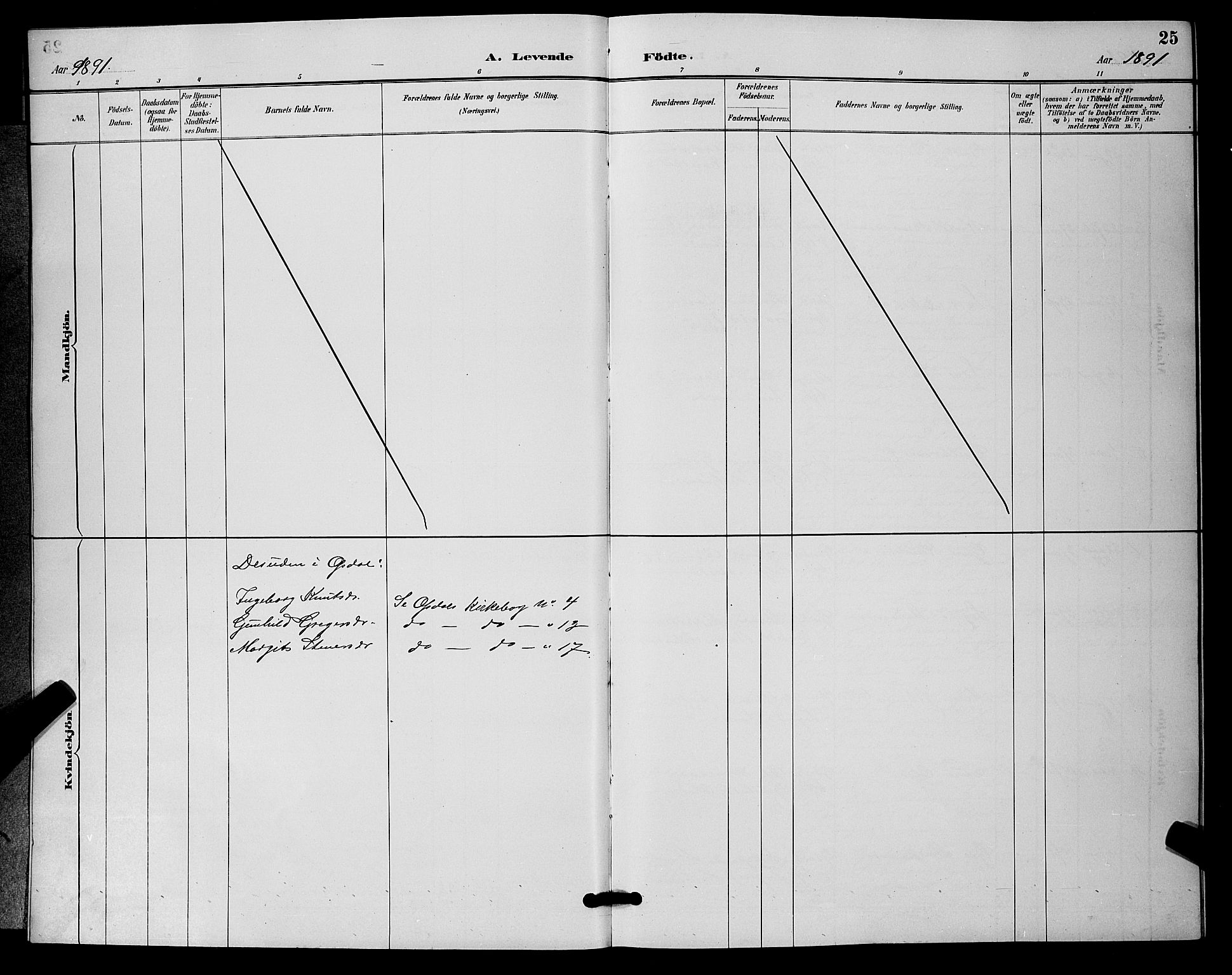 Nore kirkebøker, SAKO/A-238/G/Ga/L0003: Parish register (copy) no. I 3, 1886-1903, p. 25