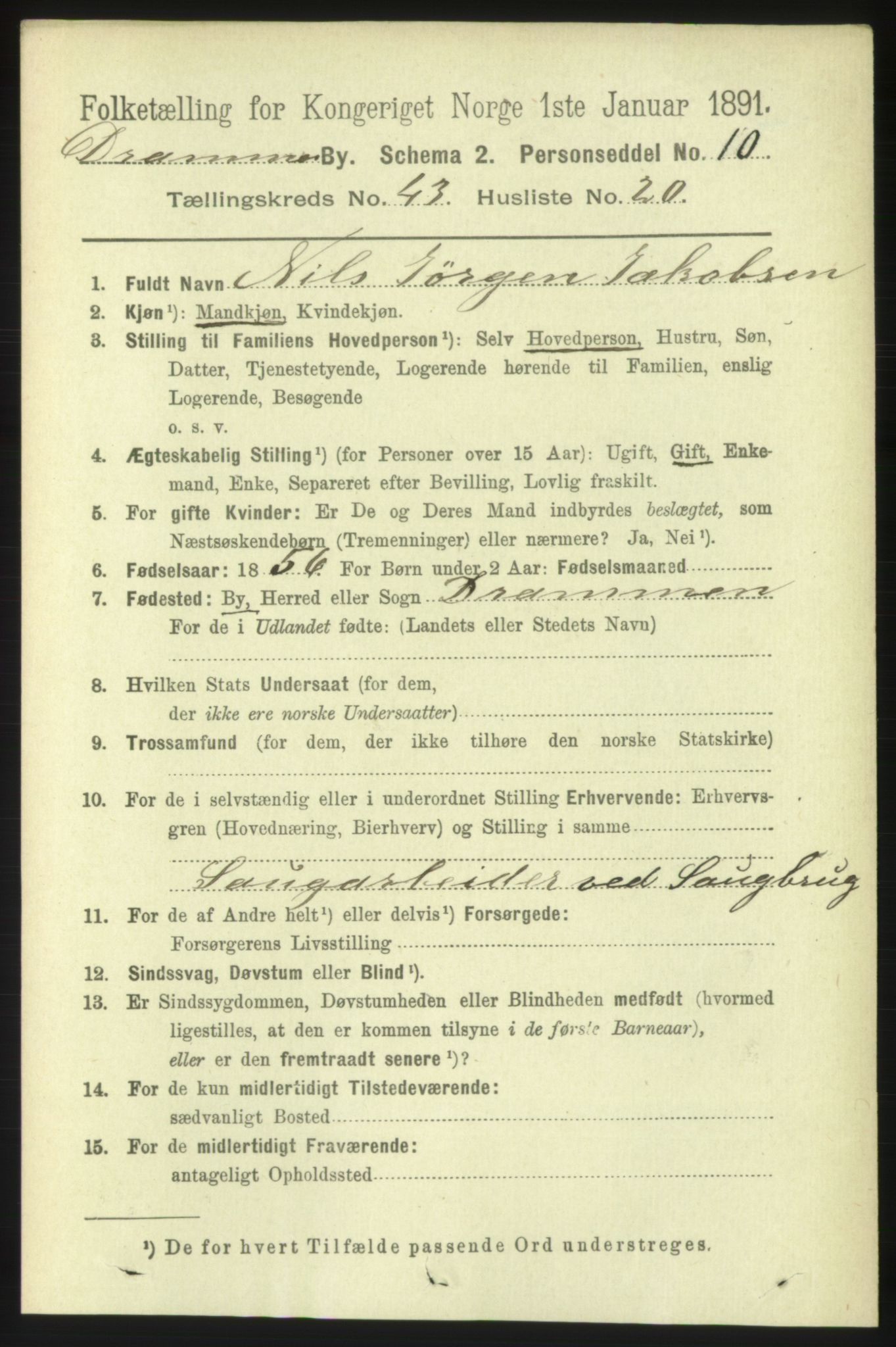 RA, 1891 census for 0602 Drammen, 1891, p. 25387