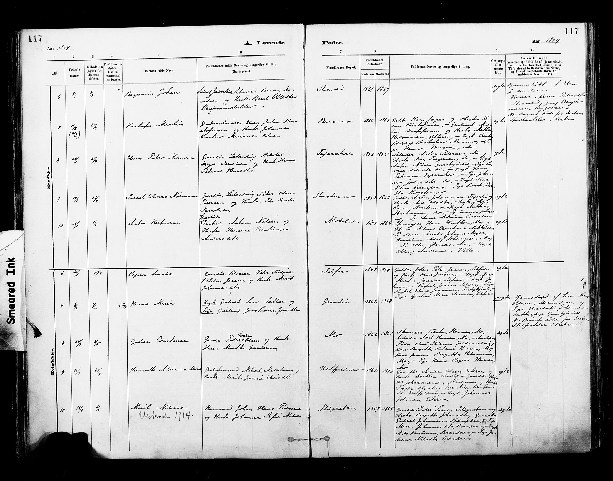 Ministerialprotokoller, klokkerbøker og fødselsregistre - Nordland, AV/SAT-A-1459/827/L0400: Parish register (official) no. 827A12, 1883-1903, p. 117