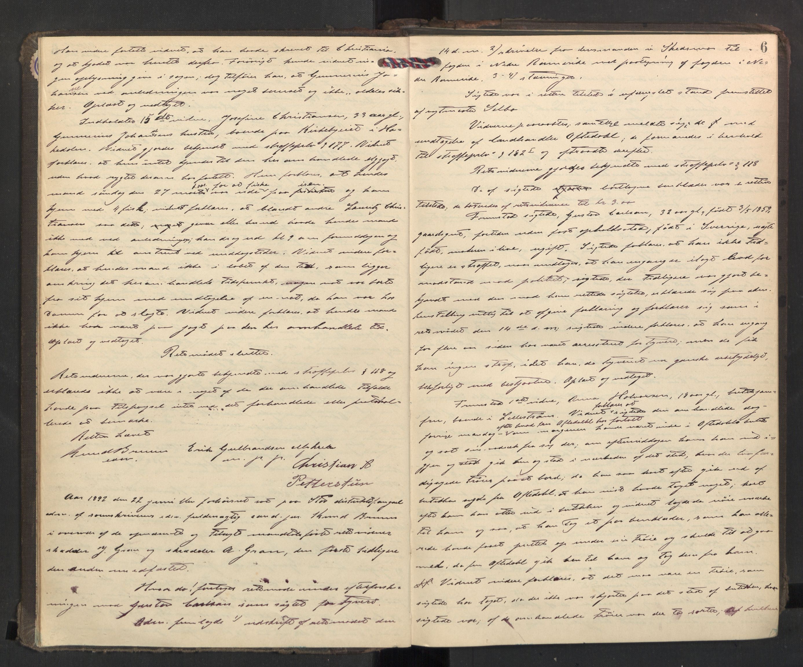 Nedre Romerike sorenskriveri, AV/SAO-A-10469/F/Fc/L0038: Ekstrarettsprotokoll, 1892-1896, p. 5b-6a