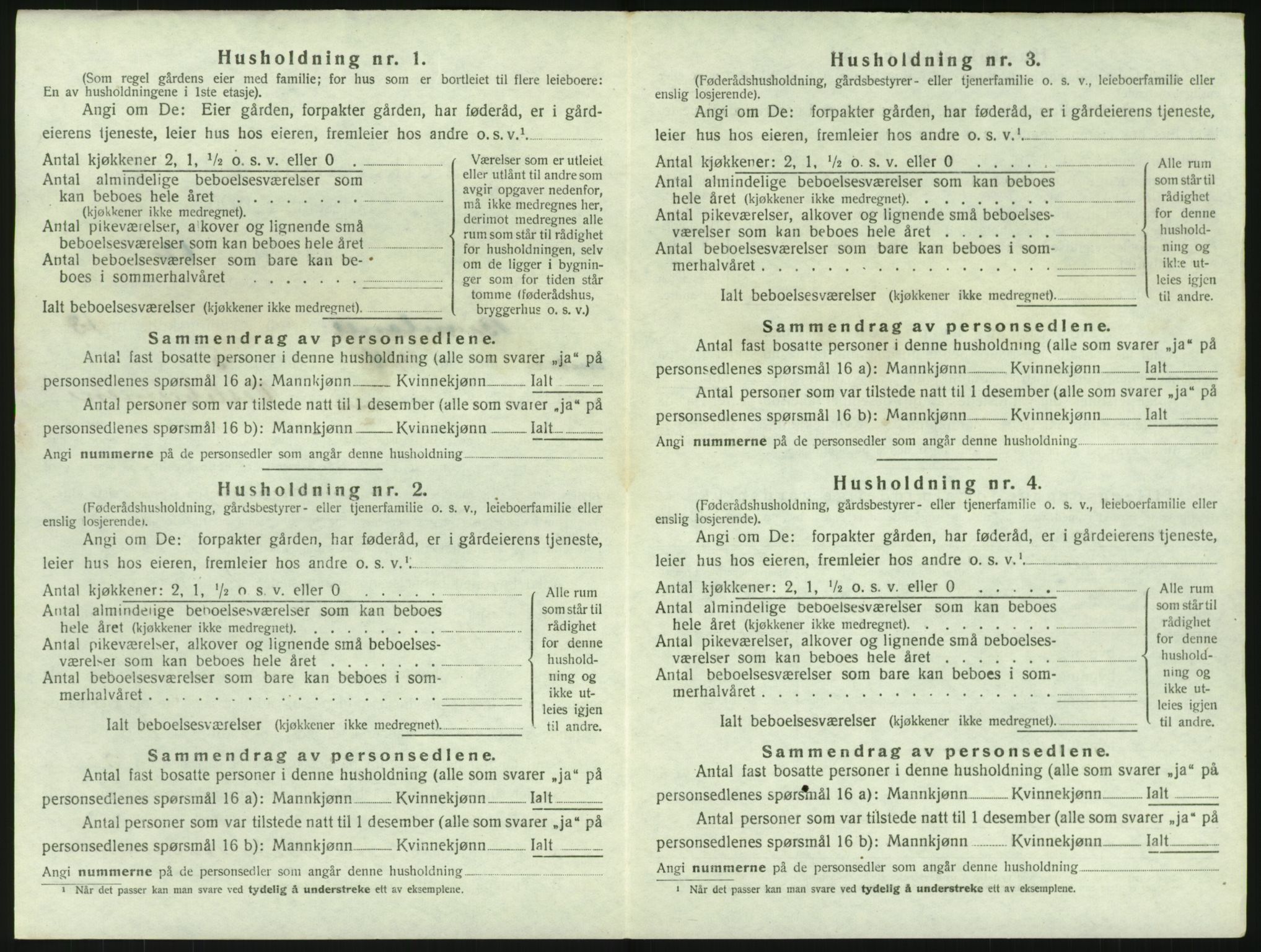 SAKO, 1920 census for Brunlanes, 1920, p. 1874