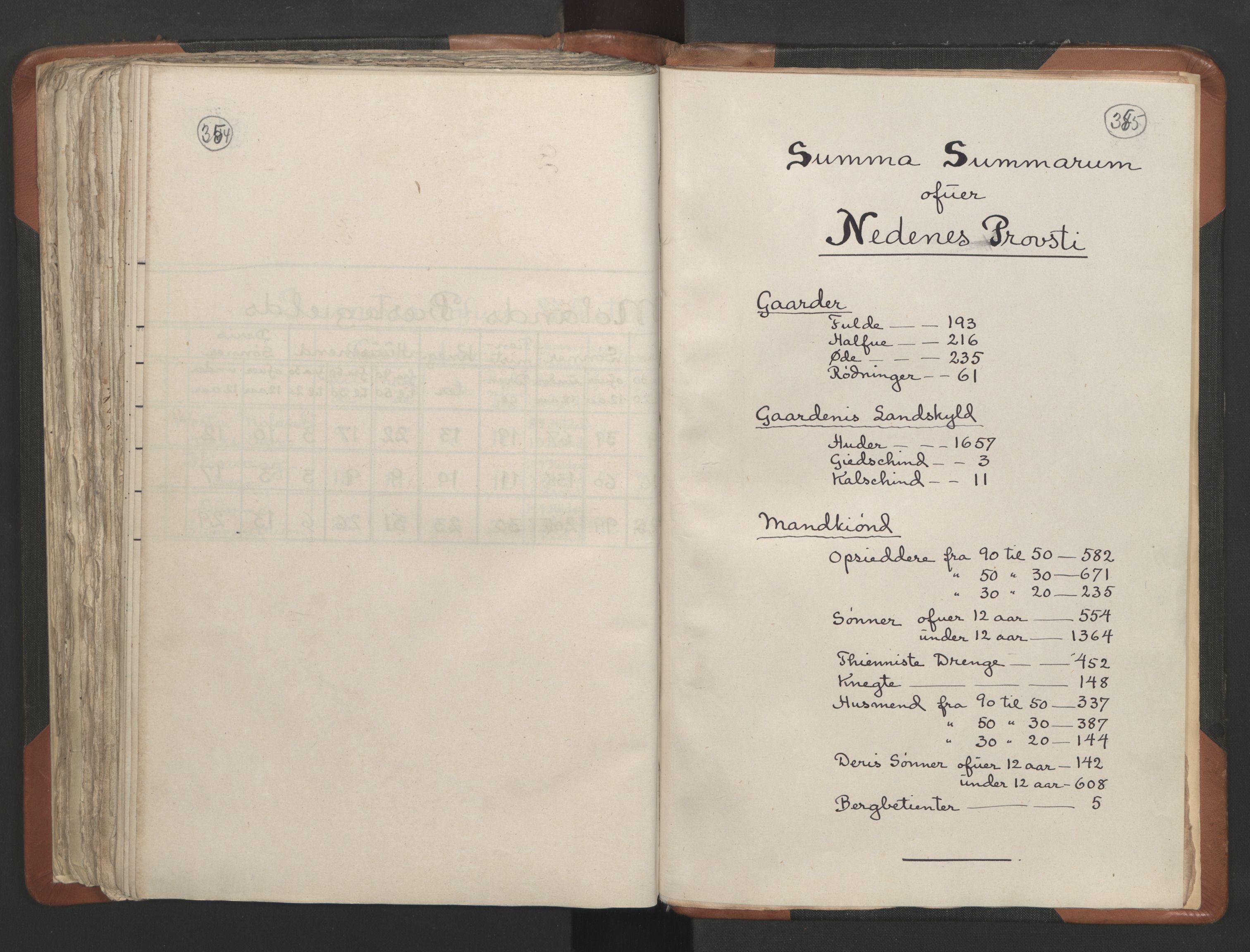 RA, Vicar's Census 1664-1666, no. 13: Nedenes deanery, 1664-1666, p. 354-355