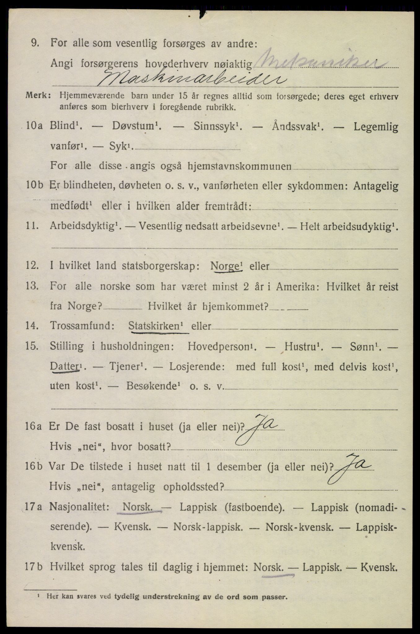 SAT, 1920 census for Bø, 1920, p. 4323