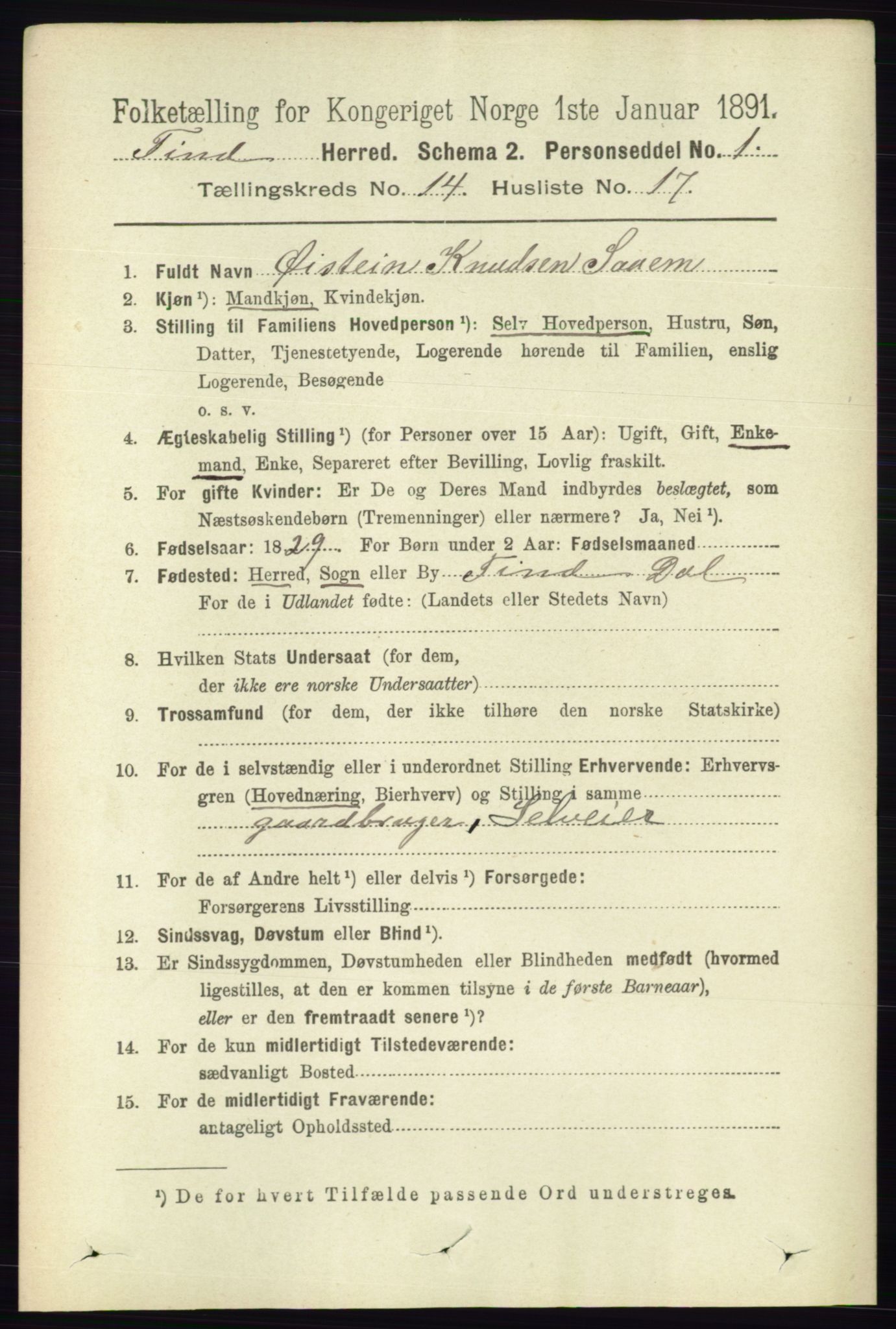 RA, 1891 census for 0826 Tinn, 1891, p. 2949