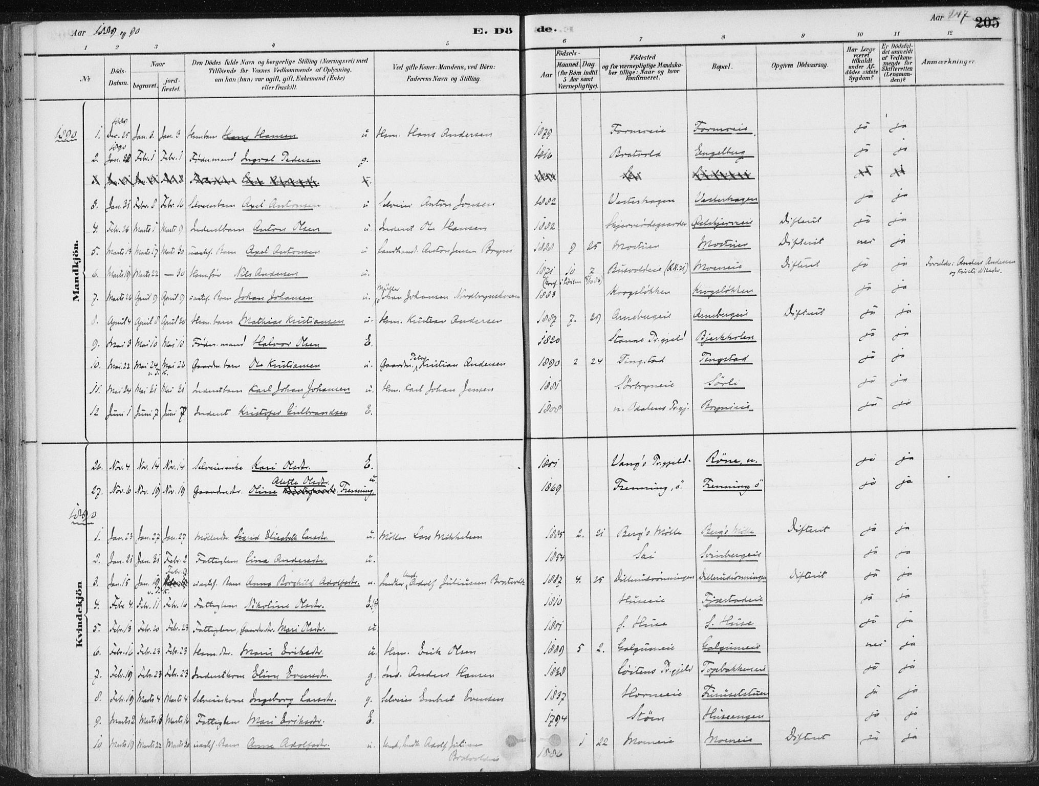Romedal prestekontor, SAH/PREST-004/K/L0010: Parish register (official) no. 10, 1880-1895, p. 247