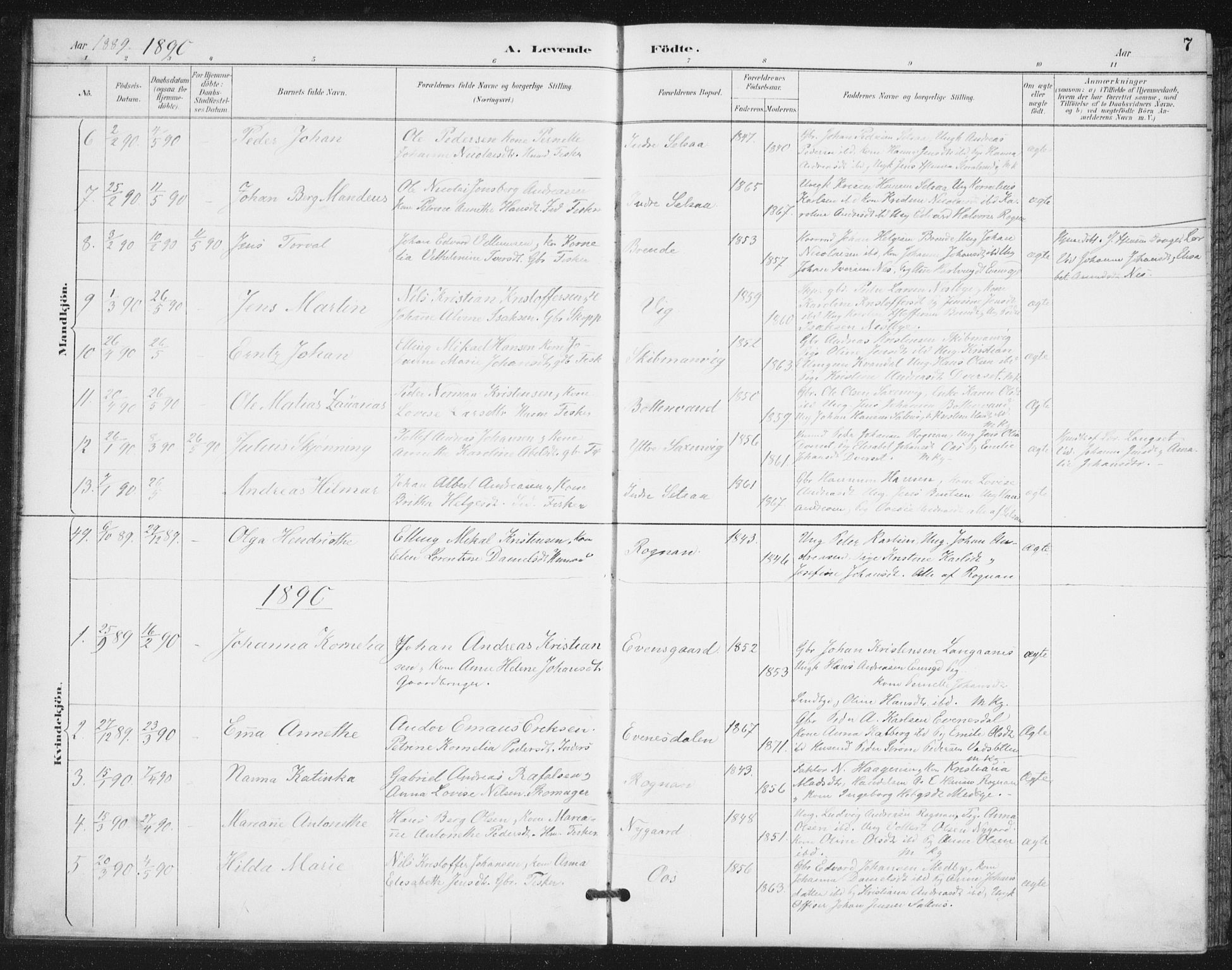 Ministerialprotokoller, klokkerbøker og fødselsregistre - Nordland, AV/SAT-A-1459/847/L0682: Parish register (copy) no. 847C10, 1889-1907, p. 7