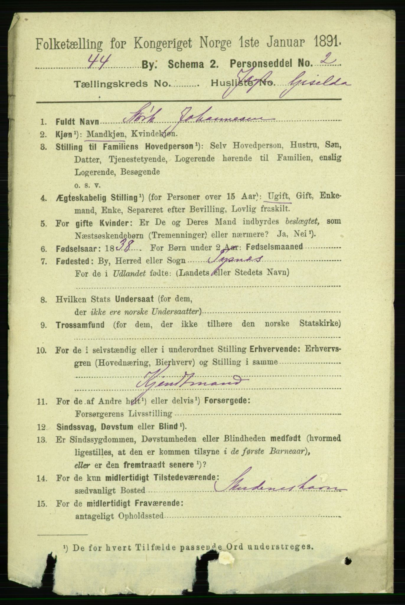 RA, 1891 census for 1104 Skudeneshavn, 1891, p. 1647