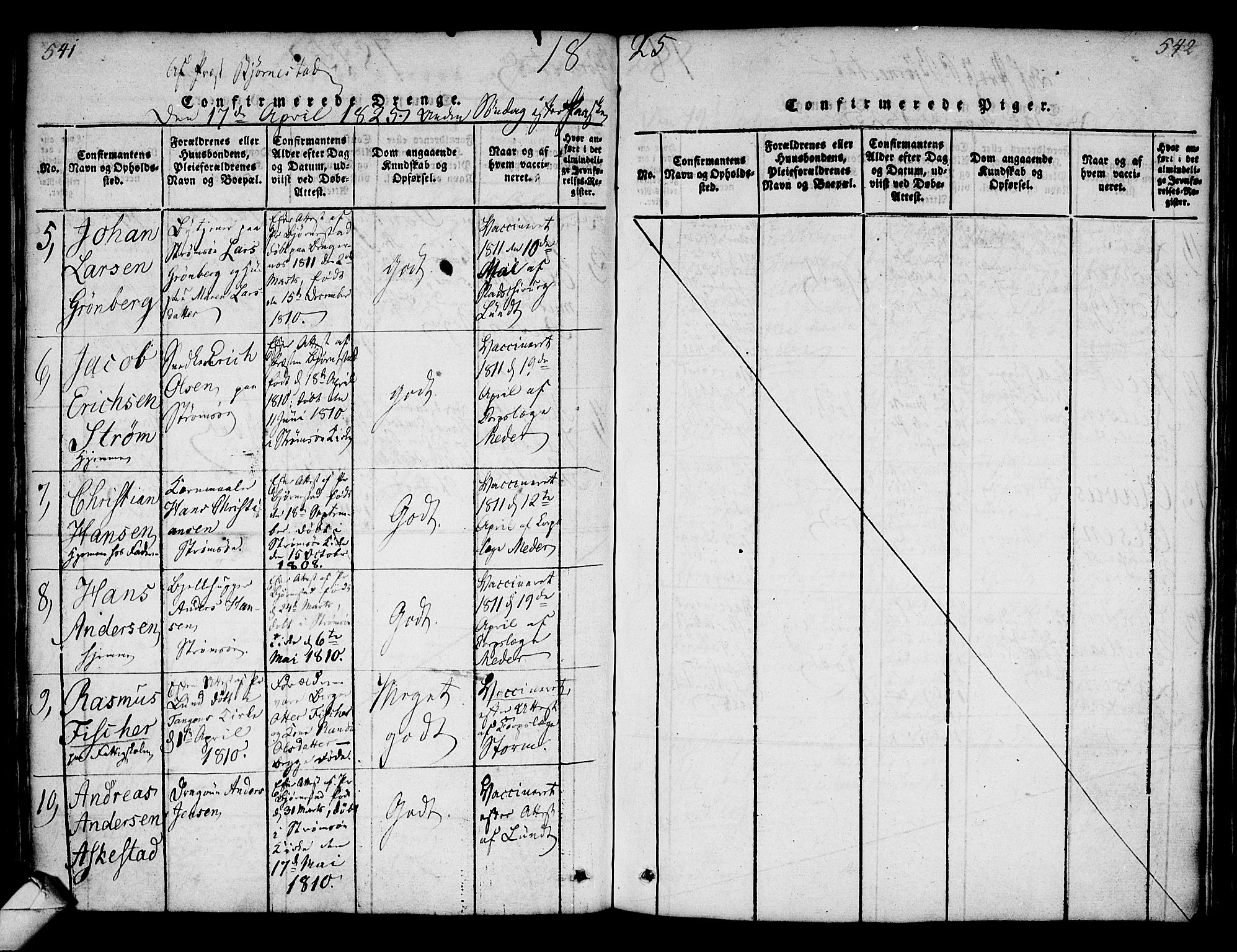 Strømsø kirkebøker, AV/SAKO-A-246/F/Fa/L0011: Parish register (official) no. I 11, 1815-1829, p. 541-542