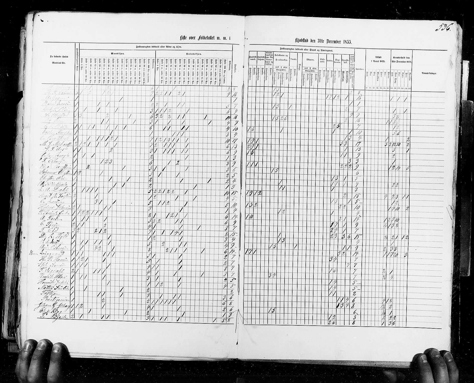 RA, Census 1855, vol. 8: Risør-Vadsø, 1855, p. 536