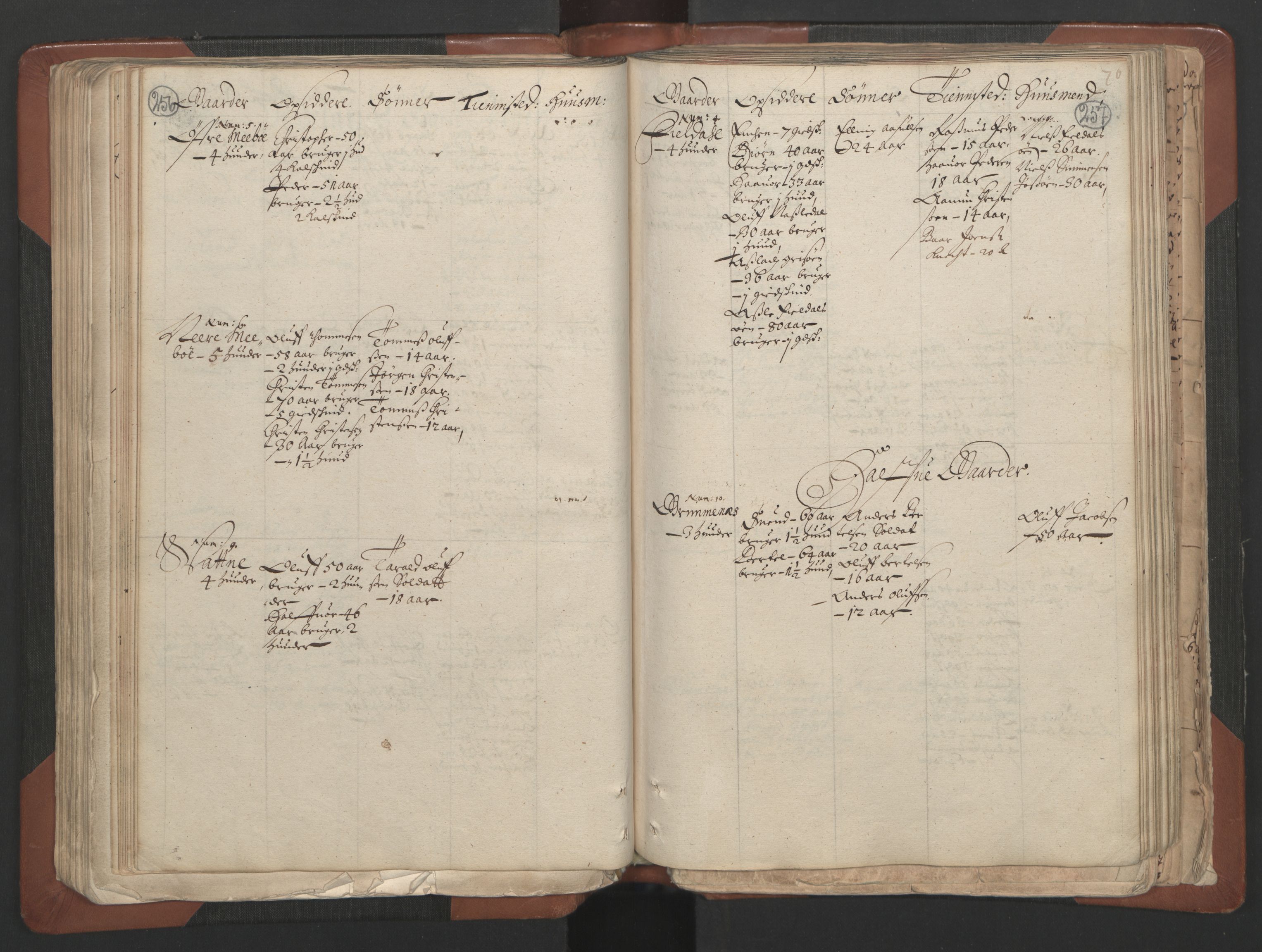 RA, Bailiff's Census 1664-1666, no. 7: Nedenes fogderi, 1664-1666, p. 256-257