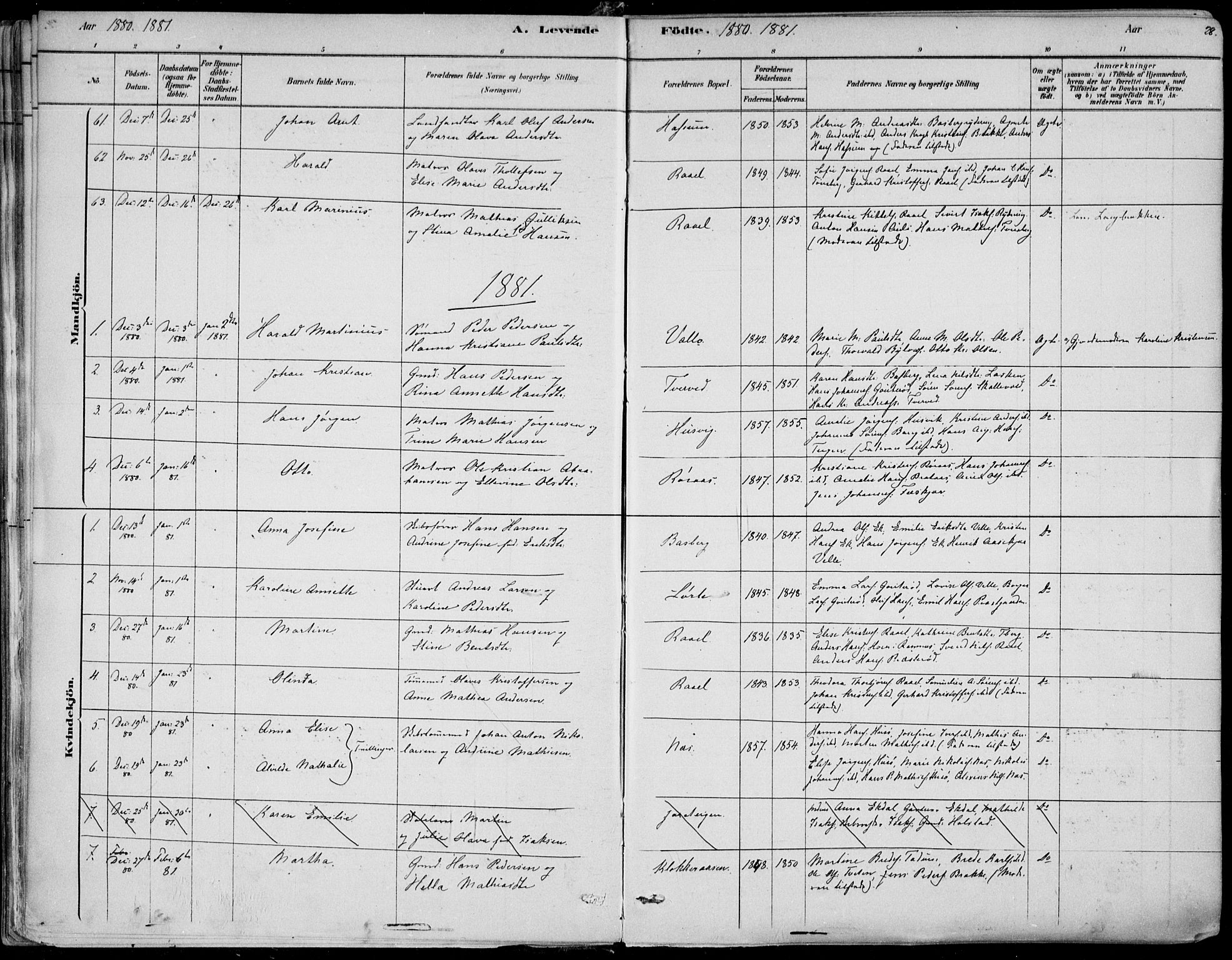 Sem kirkebøker, SAKO/A-5/F/Fb/L0004: Parish register (official) no. II 4, 1878-1891, p. 28