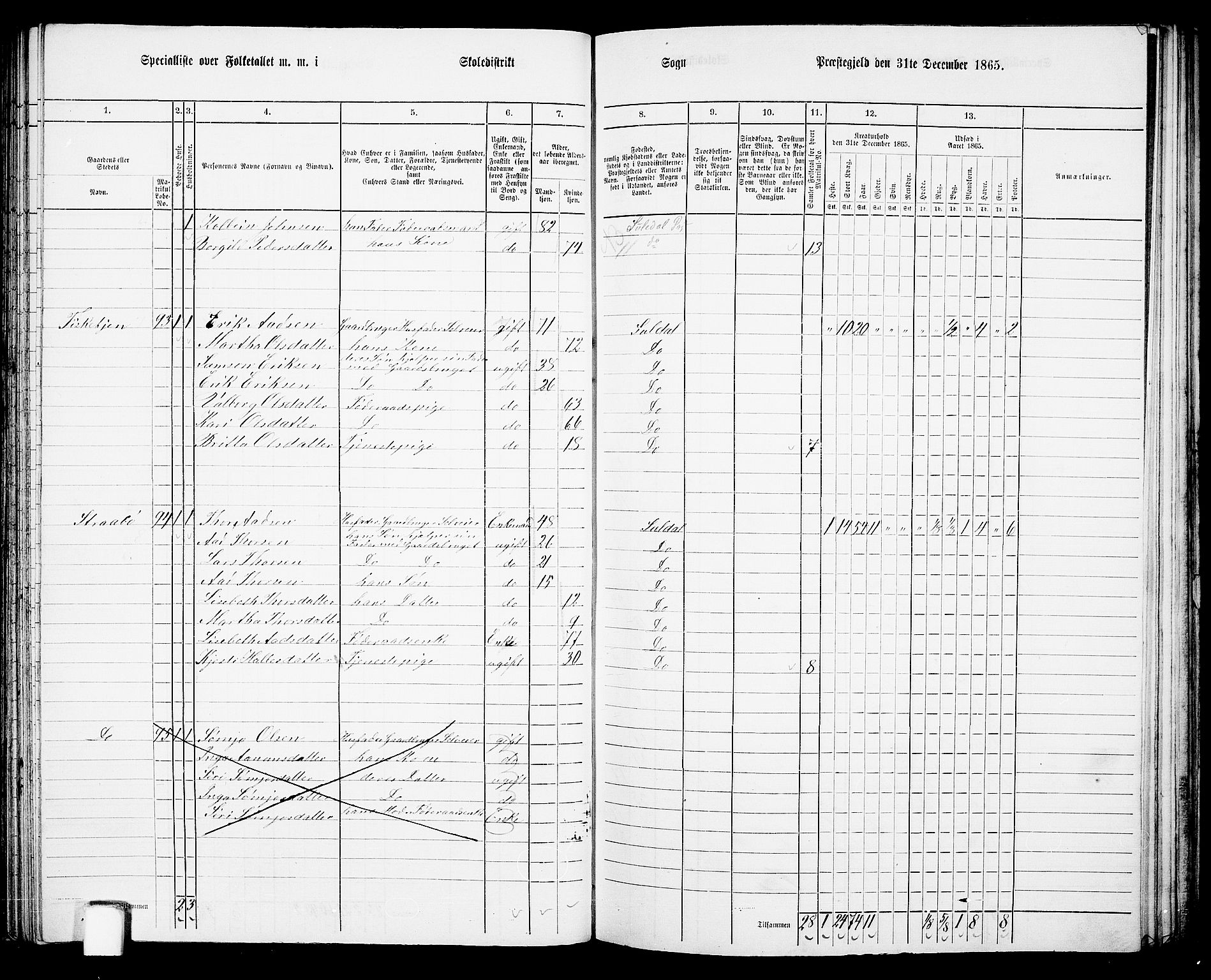 RA, 1865 census for Suldal, 1865, p. 62