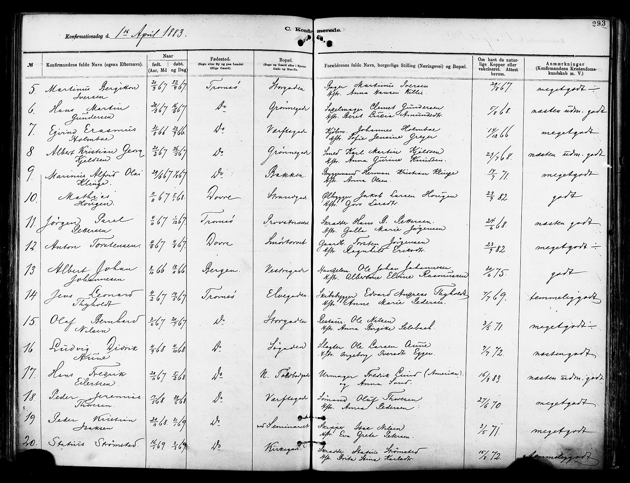 Tromsø sokneprestkontor/stiftsprosti/domprosti, SATØ/S-1343/G/Ga/L0014kirke: Parish register (official) no. 14, 1878-1888, p. 293