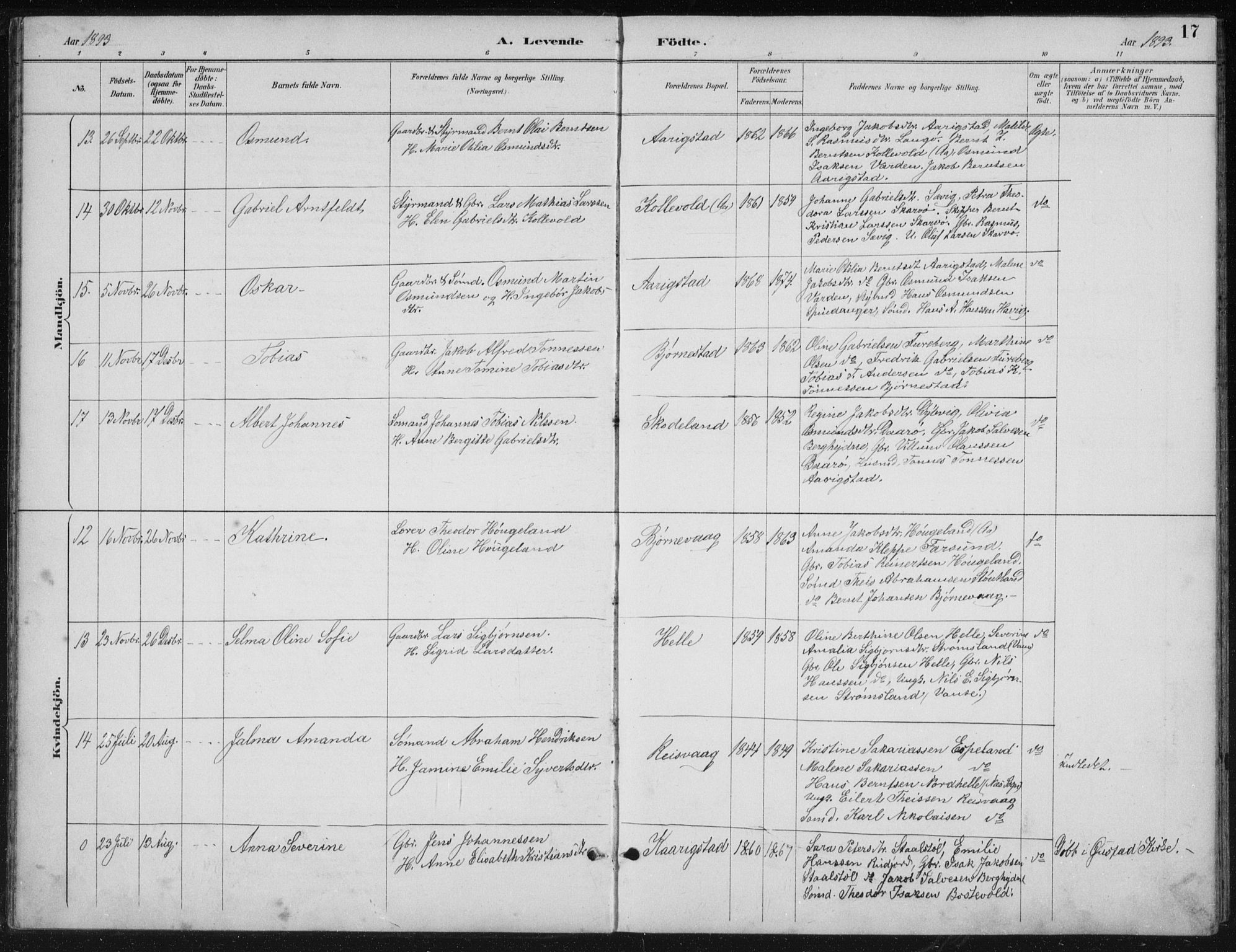 Herad sokneprestkontor, SAK/1111-0018/F/Fb/Fbb/L0004: Parish register (copy) no. B 4, 1890-1935, p. 17
