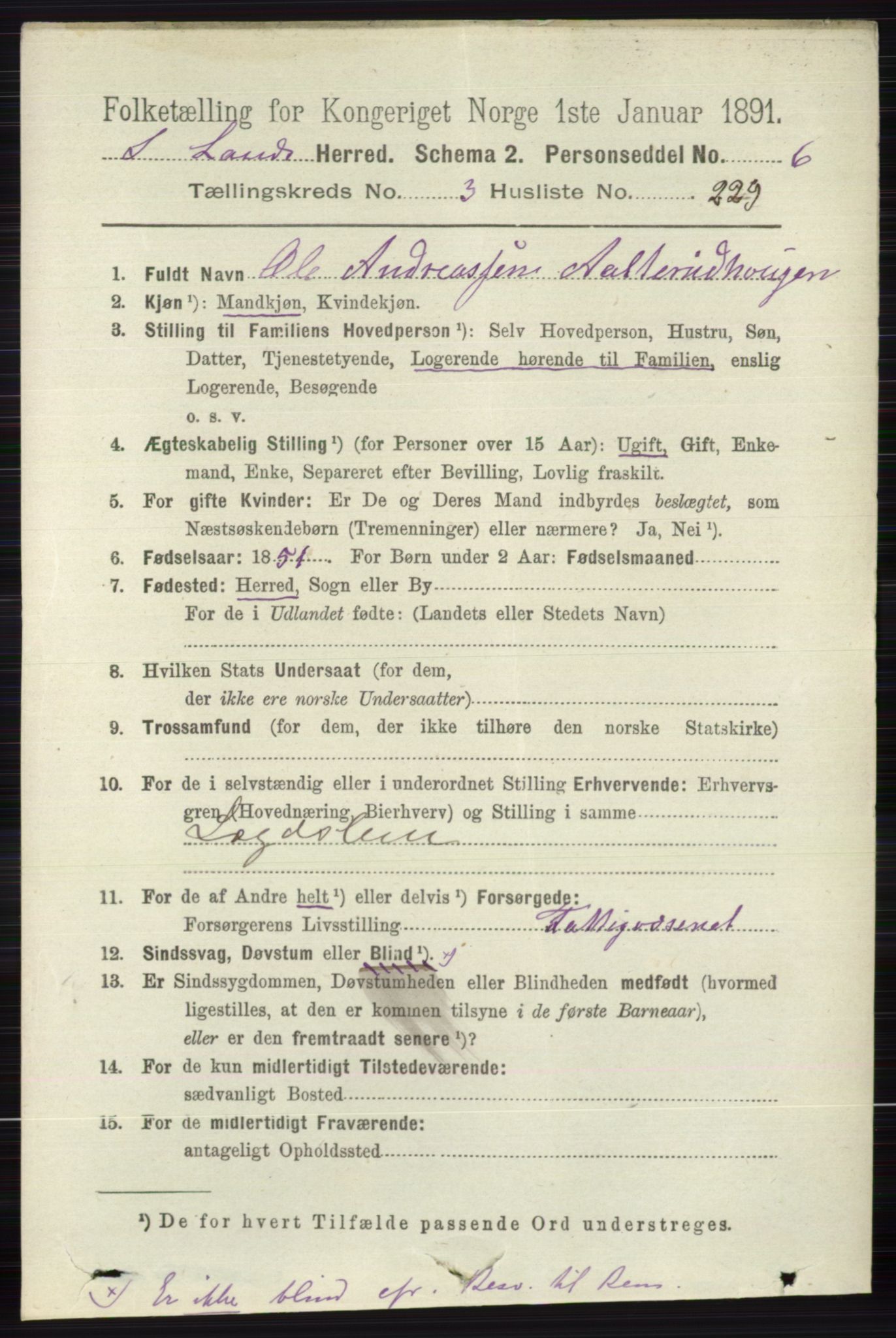 RA, 1891 census for 0536 Søndre Land, 1891, p. 3875