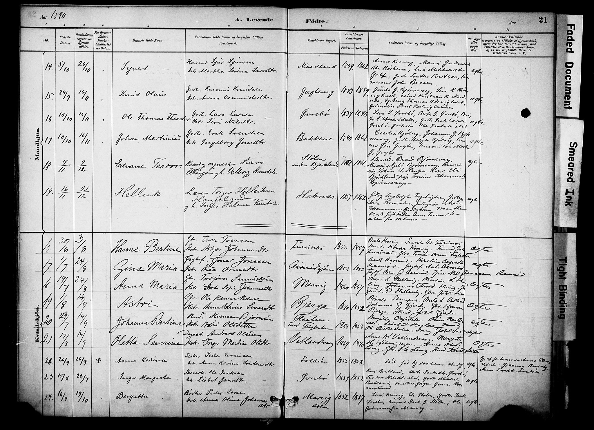 Jelsa sokneprestkontor, AV/SAST-A-101842/01/IV: Parish register (official) no. A 10, 1884-1906, p. 21