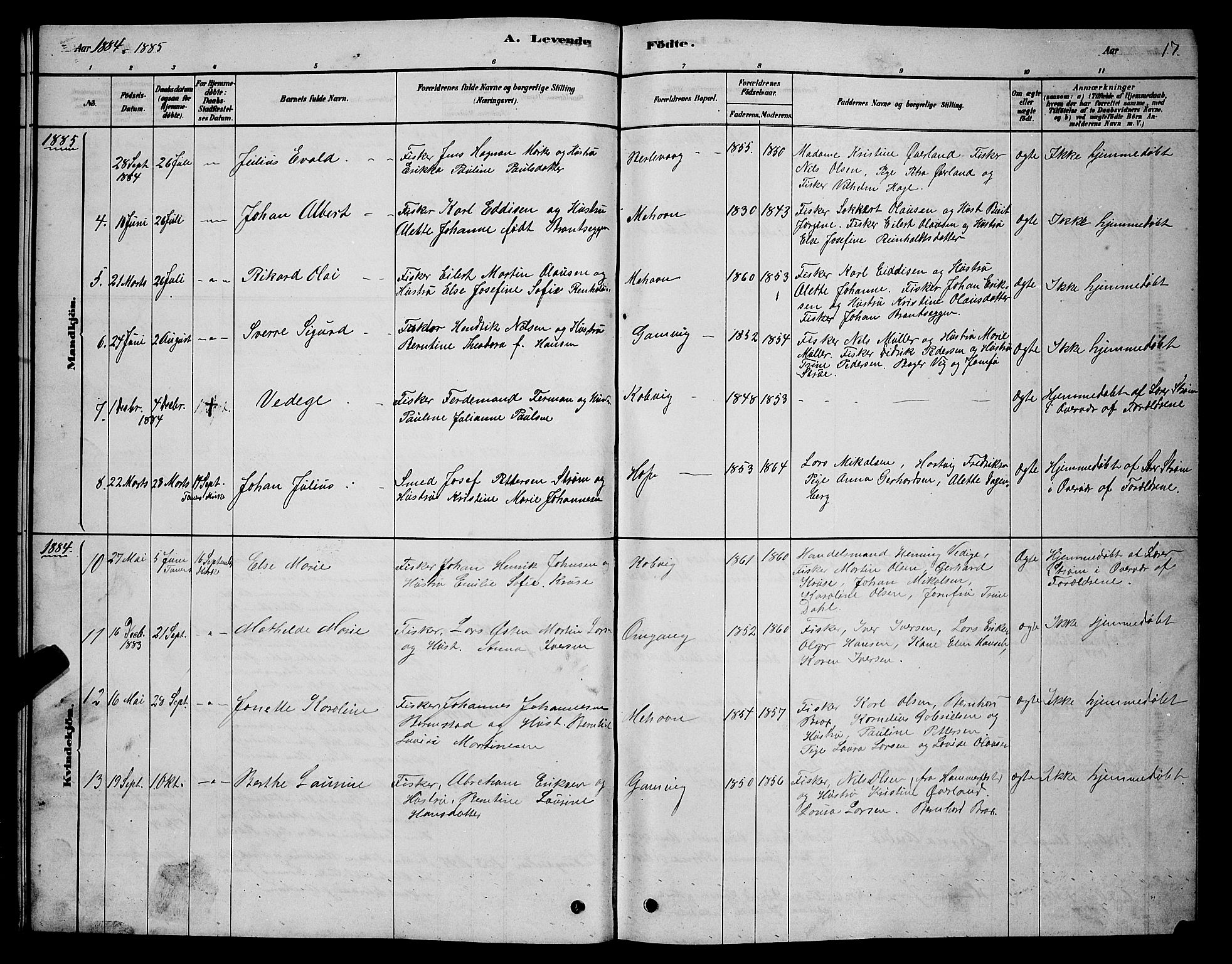 Tana sokneprestkontor, SATØ/S-1334/H/Hb/L0005klokker: Parish register (copy) no. 5, 1878-1891, p. 17