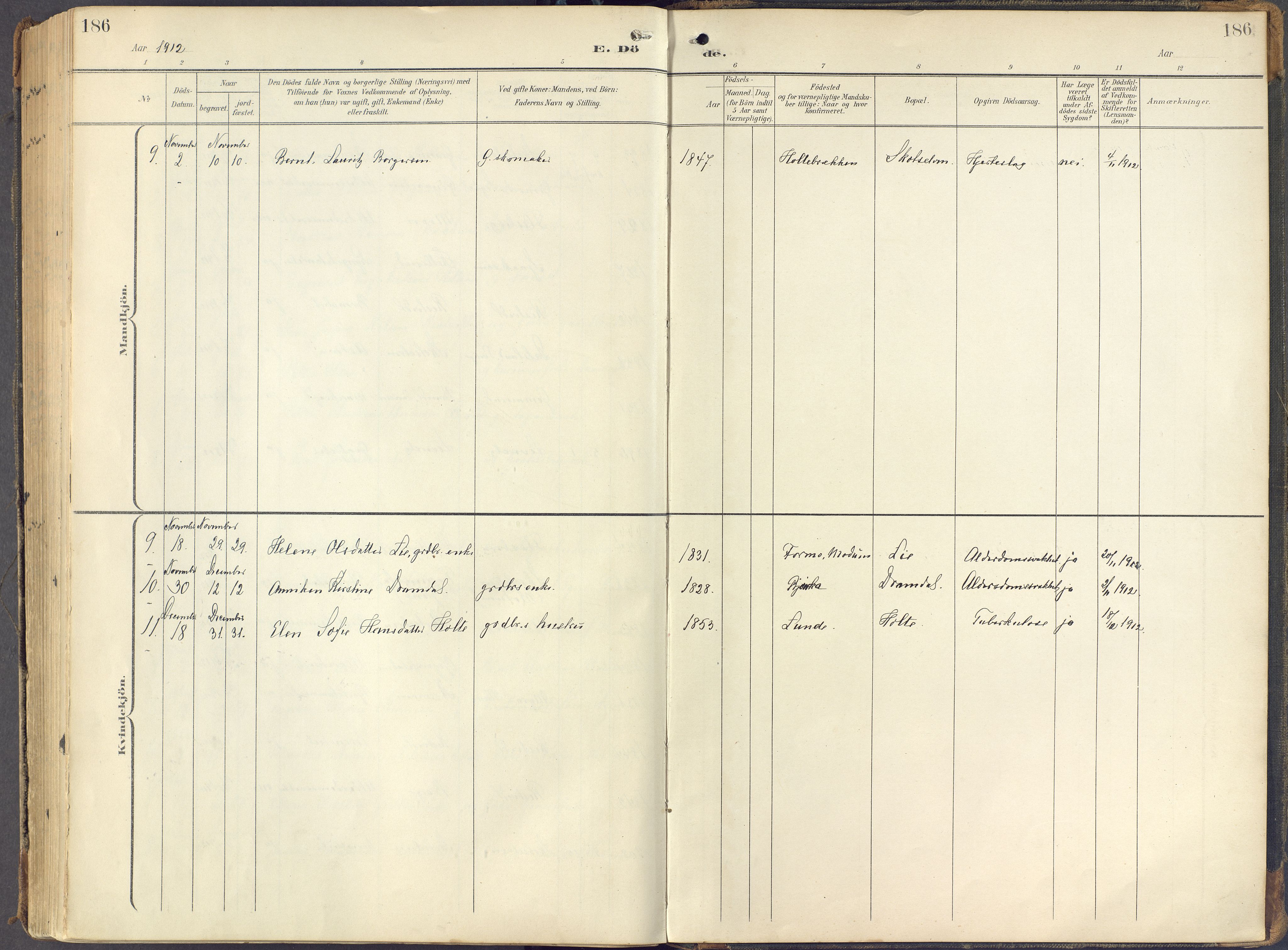 Eiker kirkebøker, AV/SAKO-A-4/F/Fc/L0004: Parish register (official) no. III 4, 1900-1919, p. 186