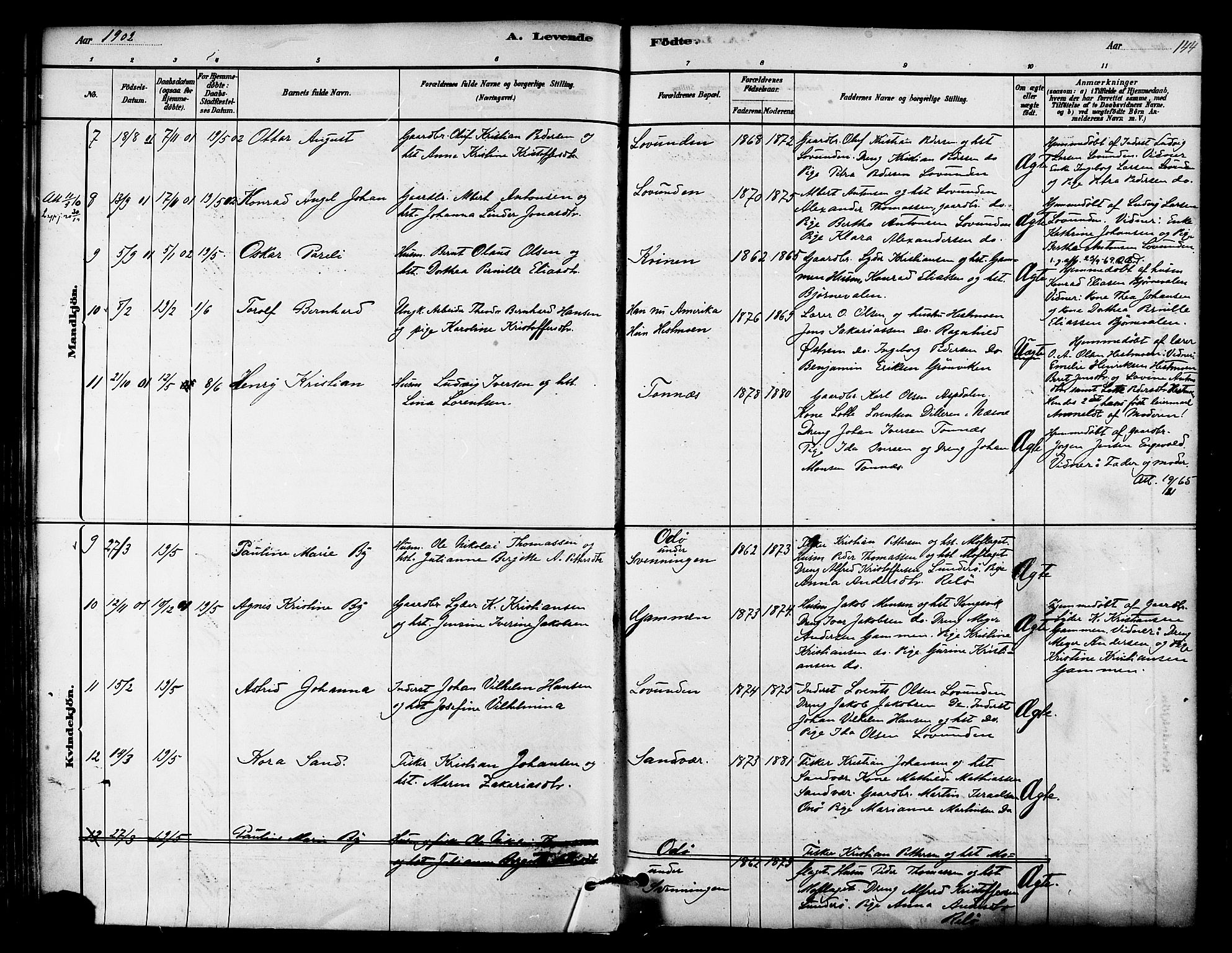 Ministerialprotokoller, klokkerbøker og fødselsregistre - Nordland, SAT/A-1459/839/L0568: Parish register (official) no. 839A05, 1880-1902, p. 144