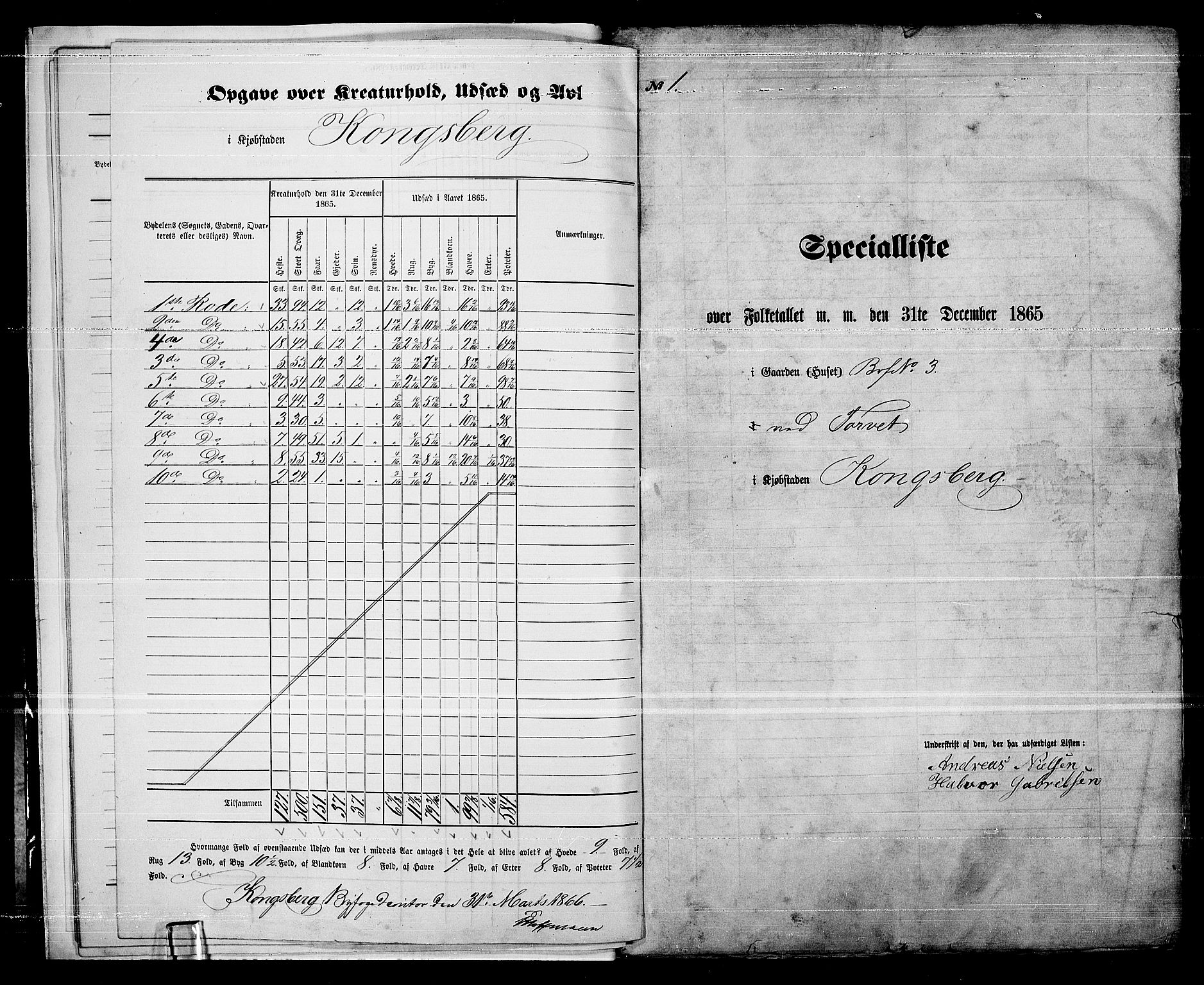 RA, 1865 census for Kongsberg/Kongsberg, 1865, p. 13