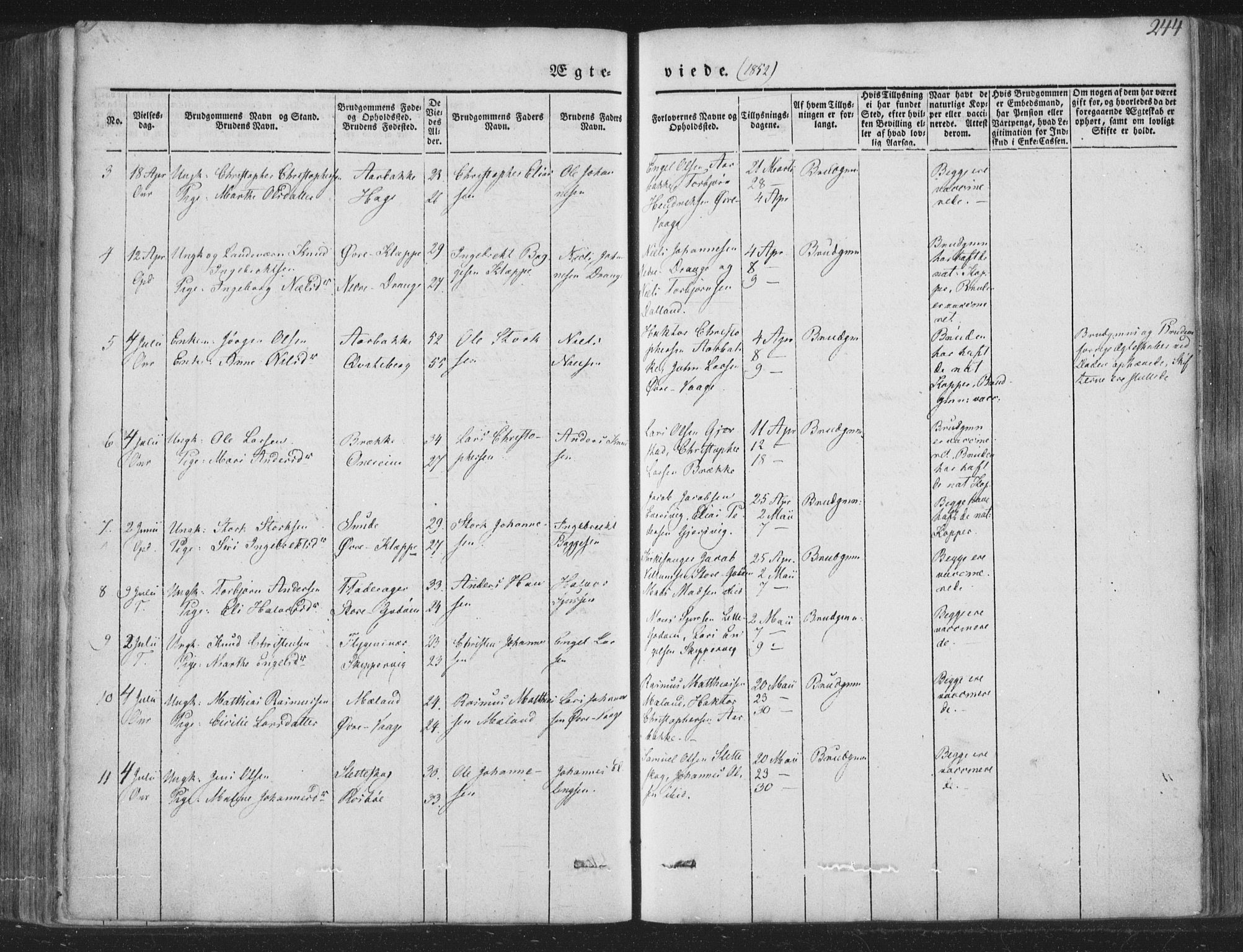 Tysnes sokneprestembete, AV/SAB-A-78601/H/Haa: Parish register (official) no. A 10, 1848-1859, p. 244